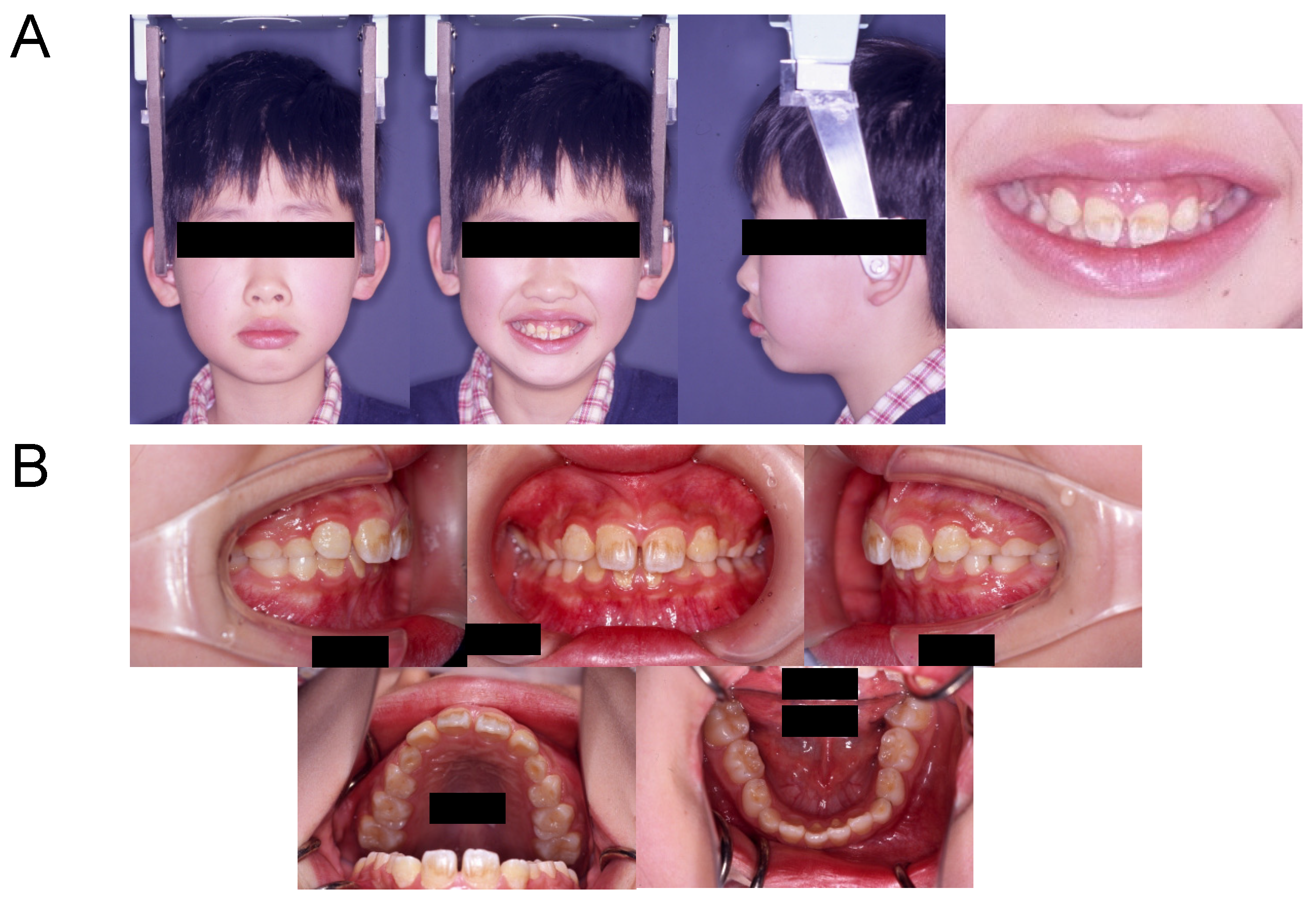 Applsci 12 12268 g002