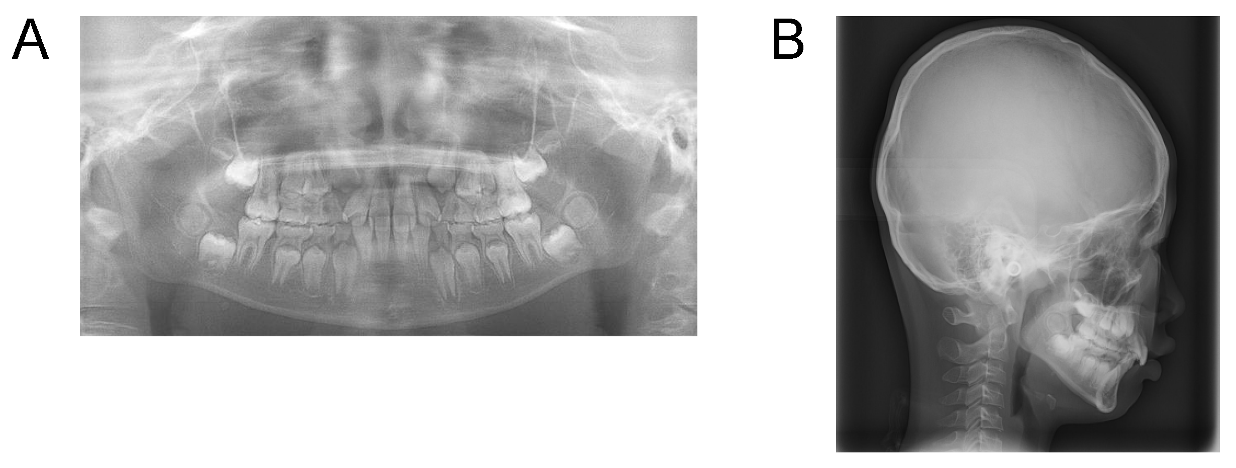 Applsci 12 12268 g003