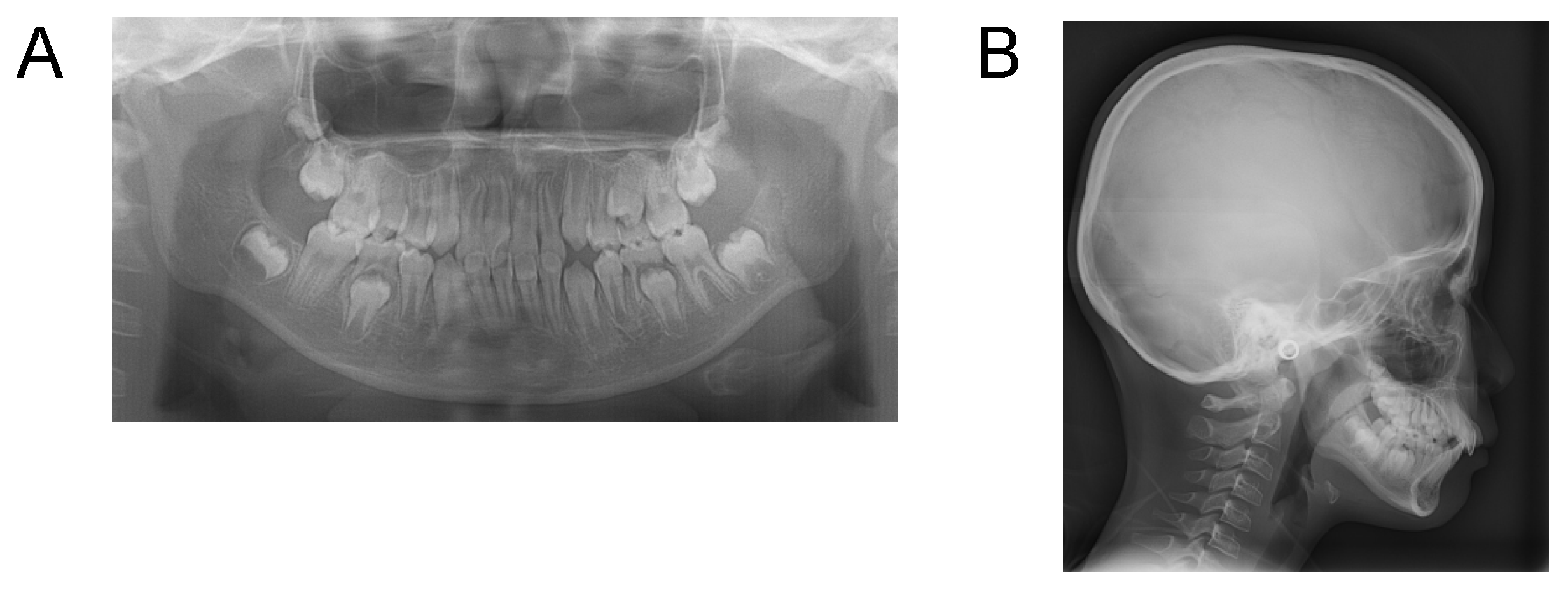 Applsci 12 12268 g008