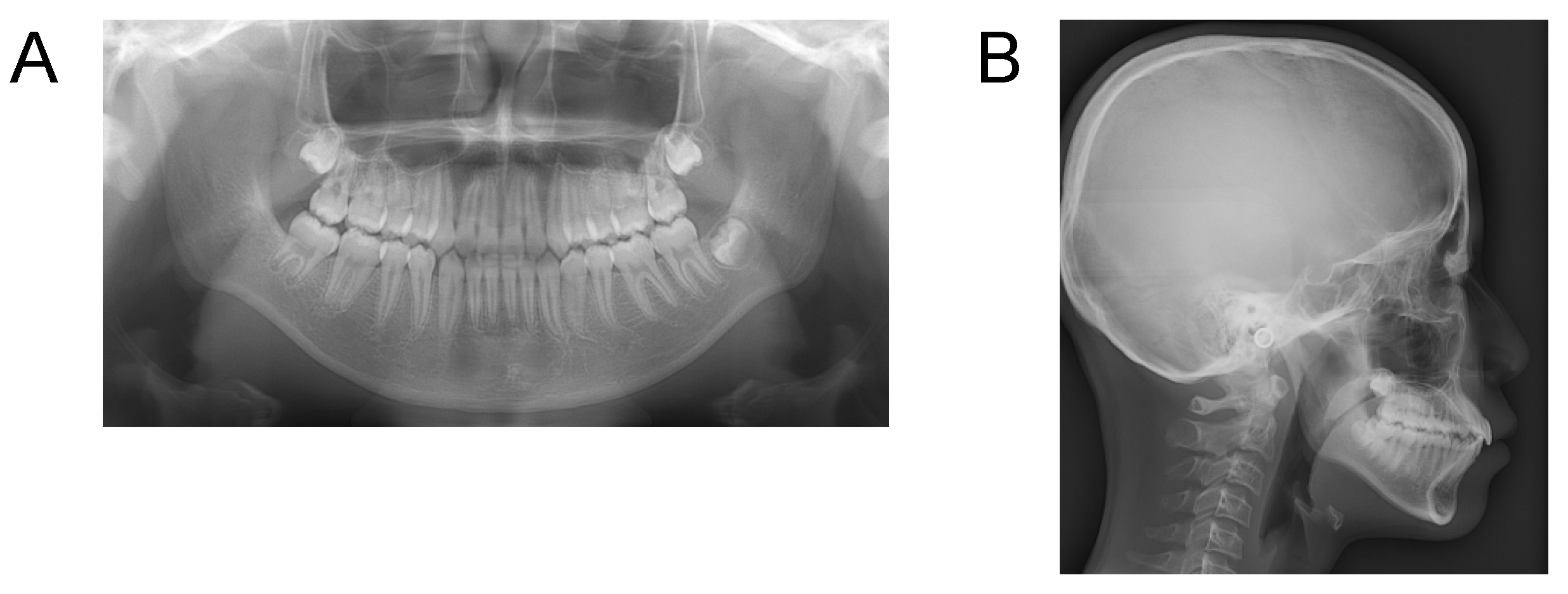 Applsci 12 12268 g011