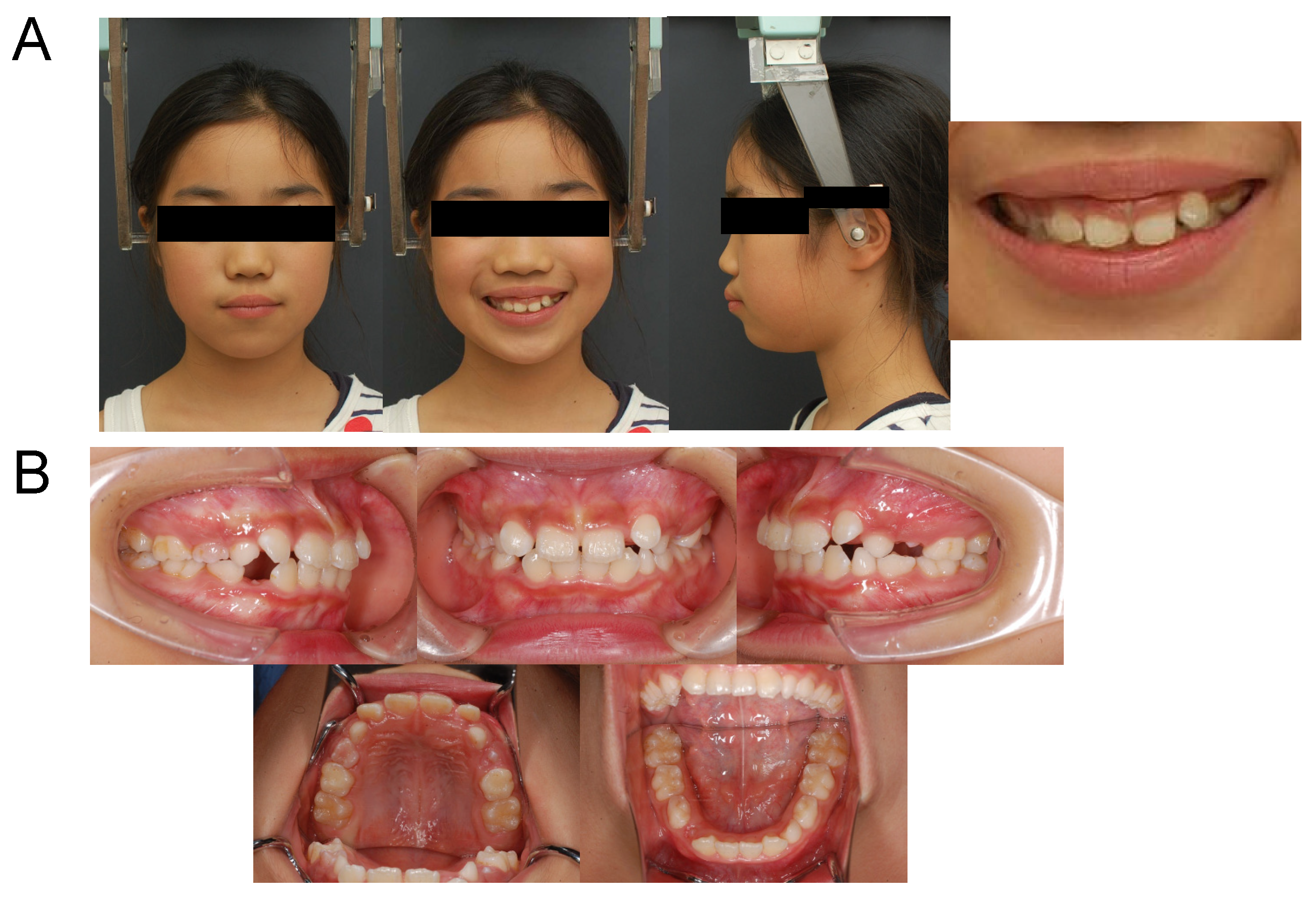 Applsci 12 12268 g012