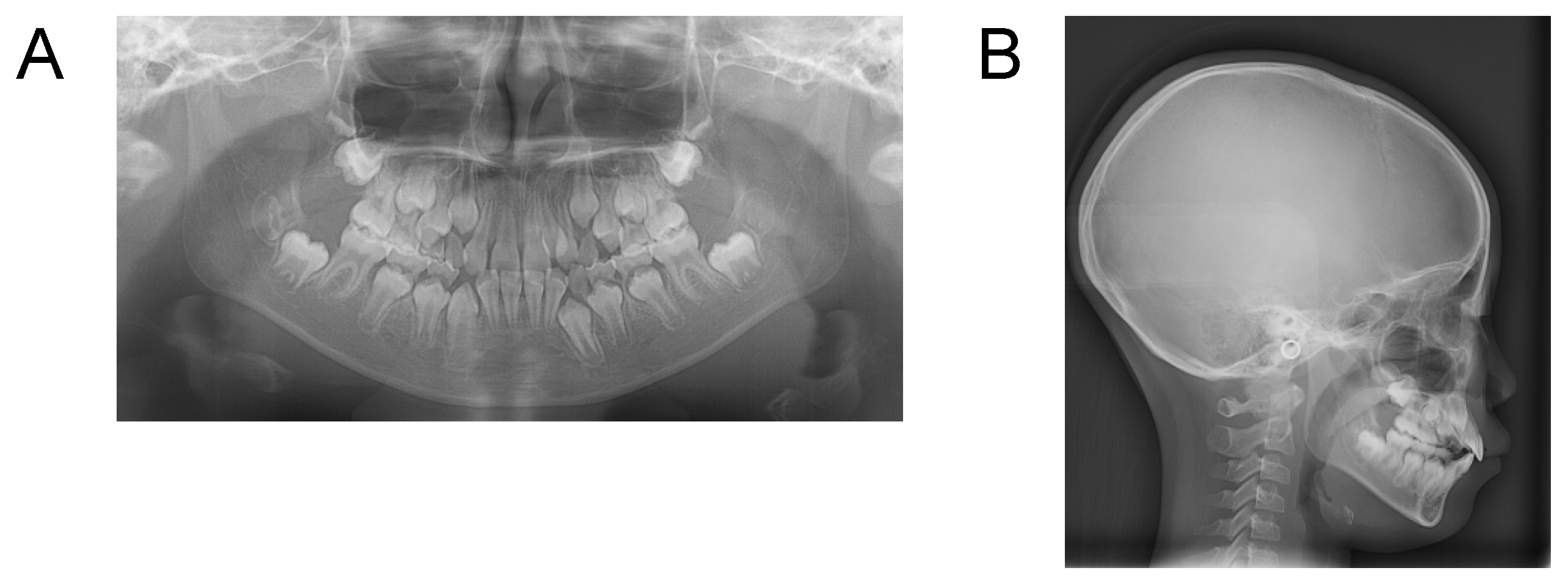 Applsci 12 12268 g013