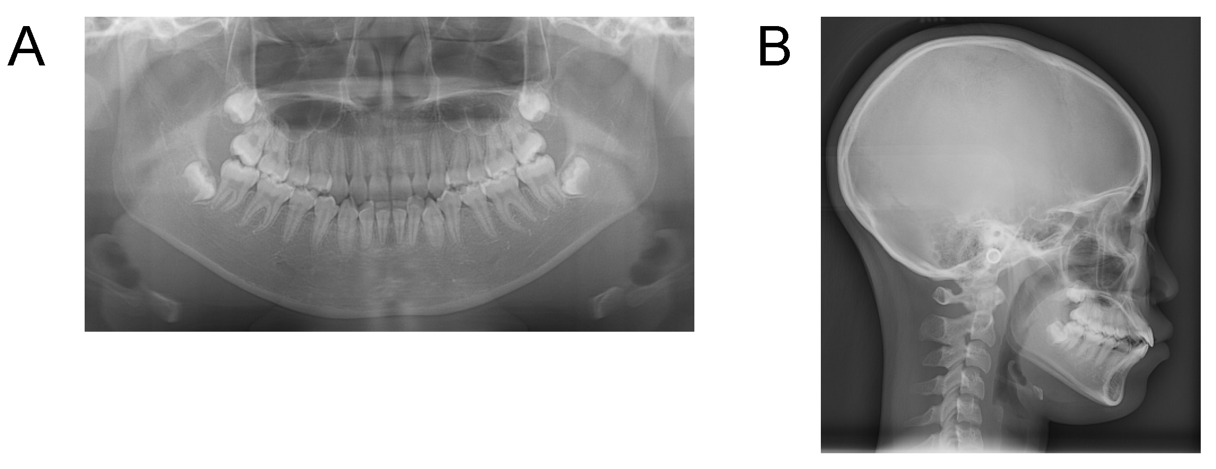 Applsci 12 12268 g016