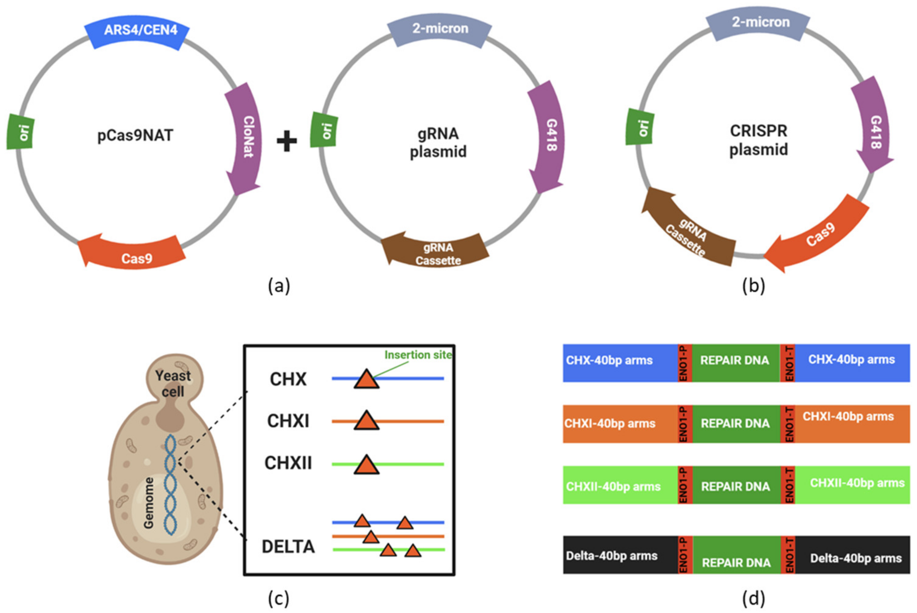 Applsci 12 12317 g001