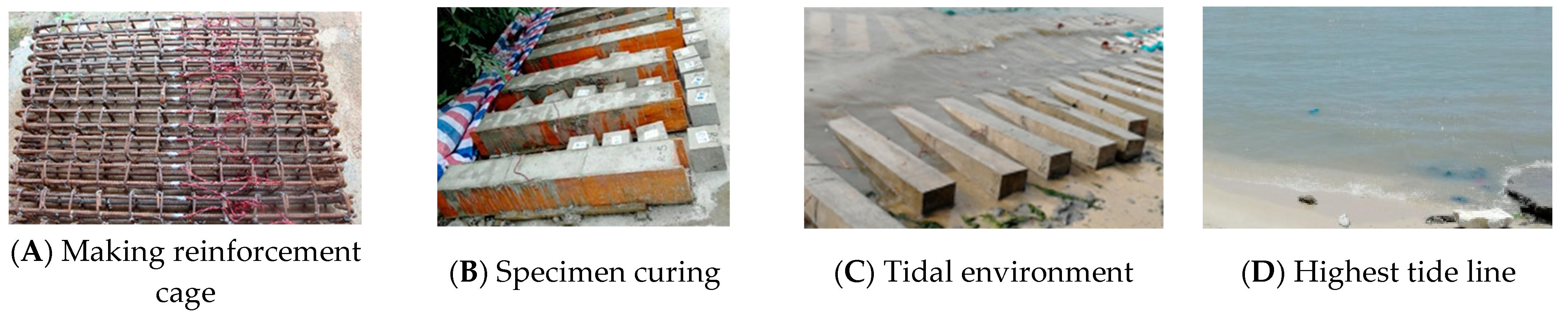 Applsci 12 12321 g002