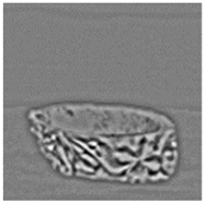 Applsci 12 12346 i021