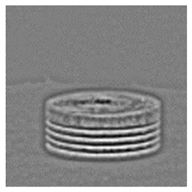 Applsci 12 12346 i022