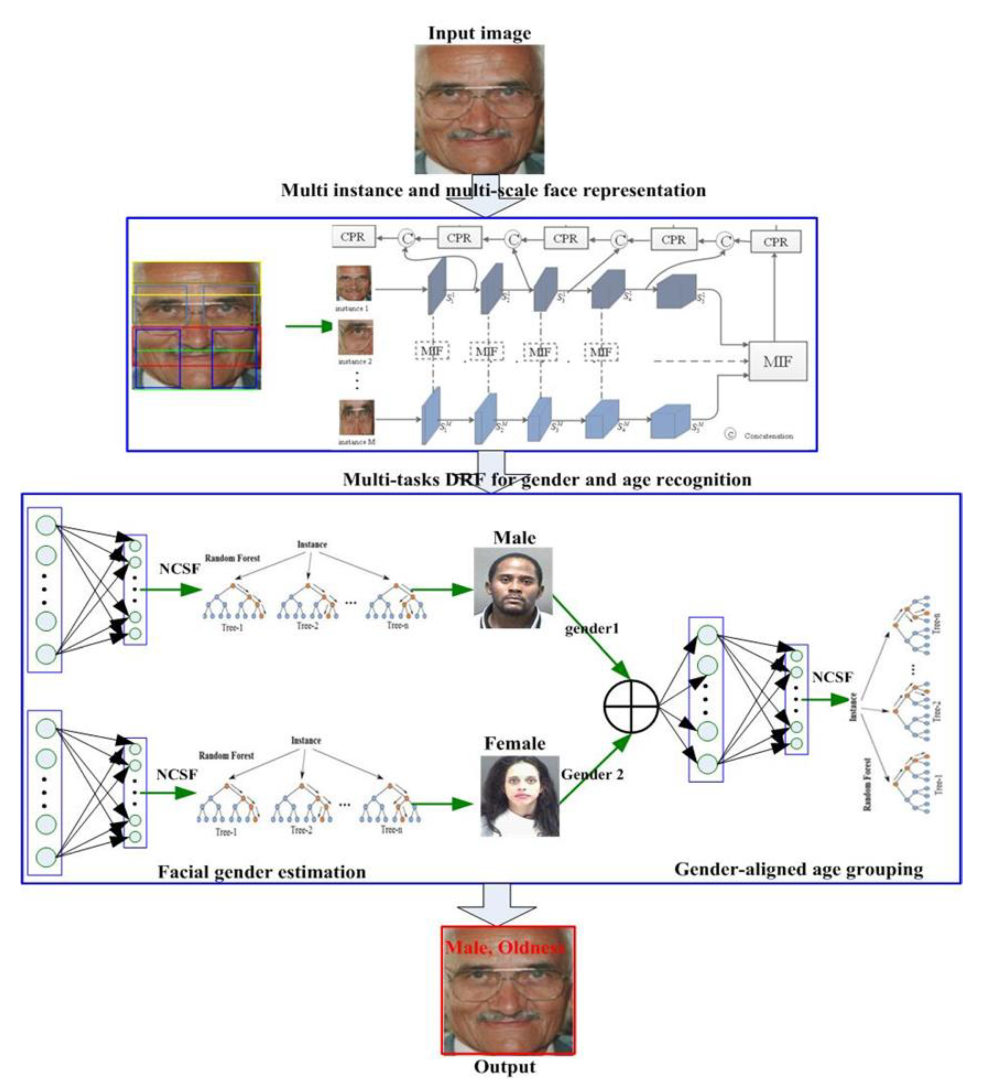 Applsci 12 12432 g001 Applsci 12 12432 g001