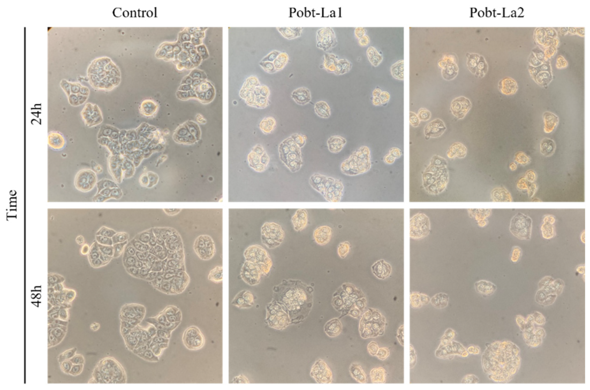 Applsci 12 12519 g002 Applsci 12 12519 g002