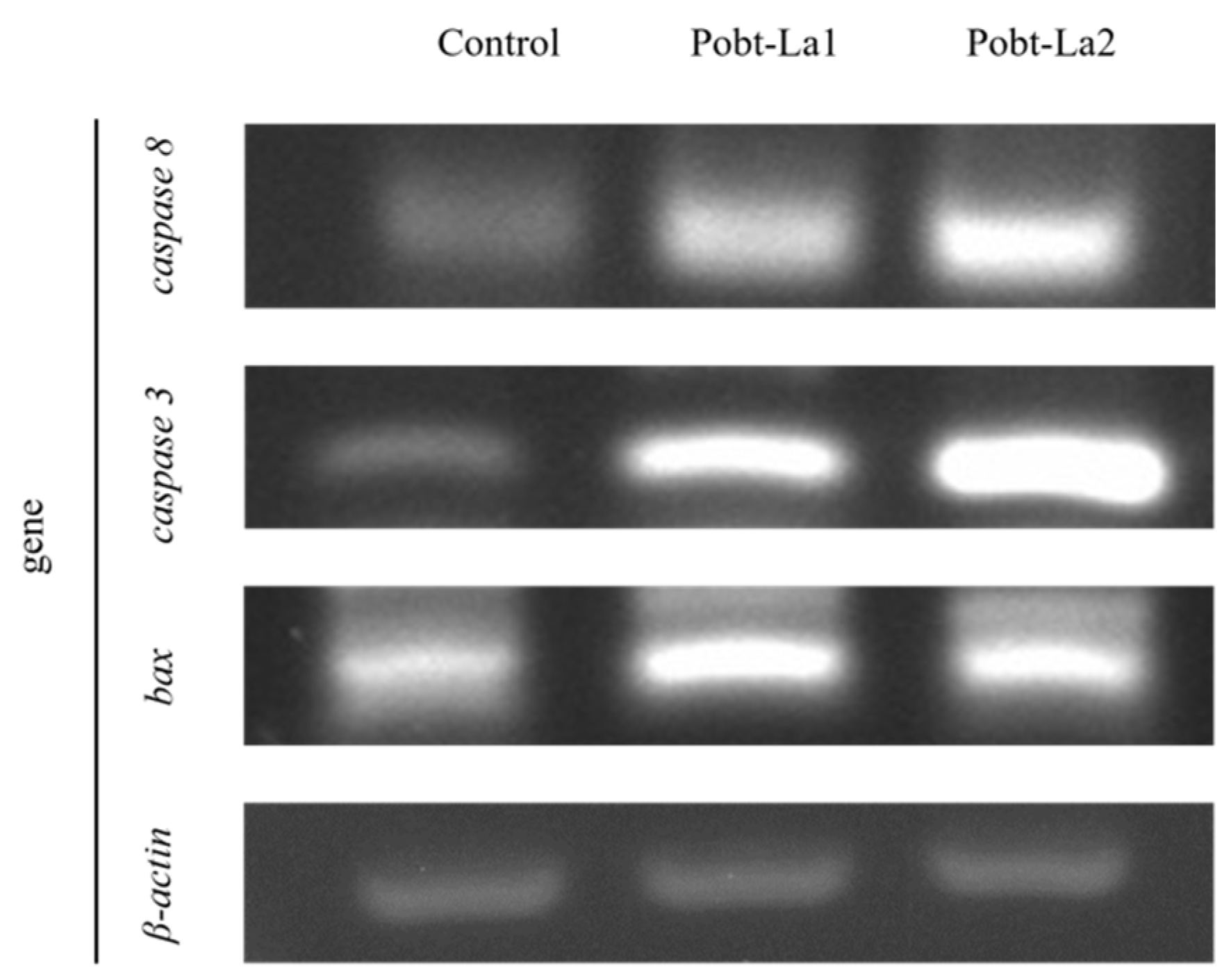 Applsci 12 12519 g003 Applsci 12 12519 g003