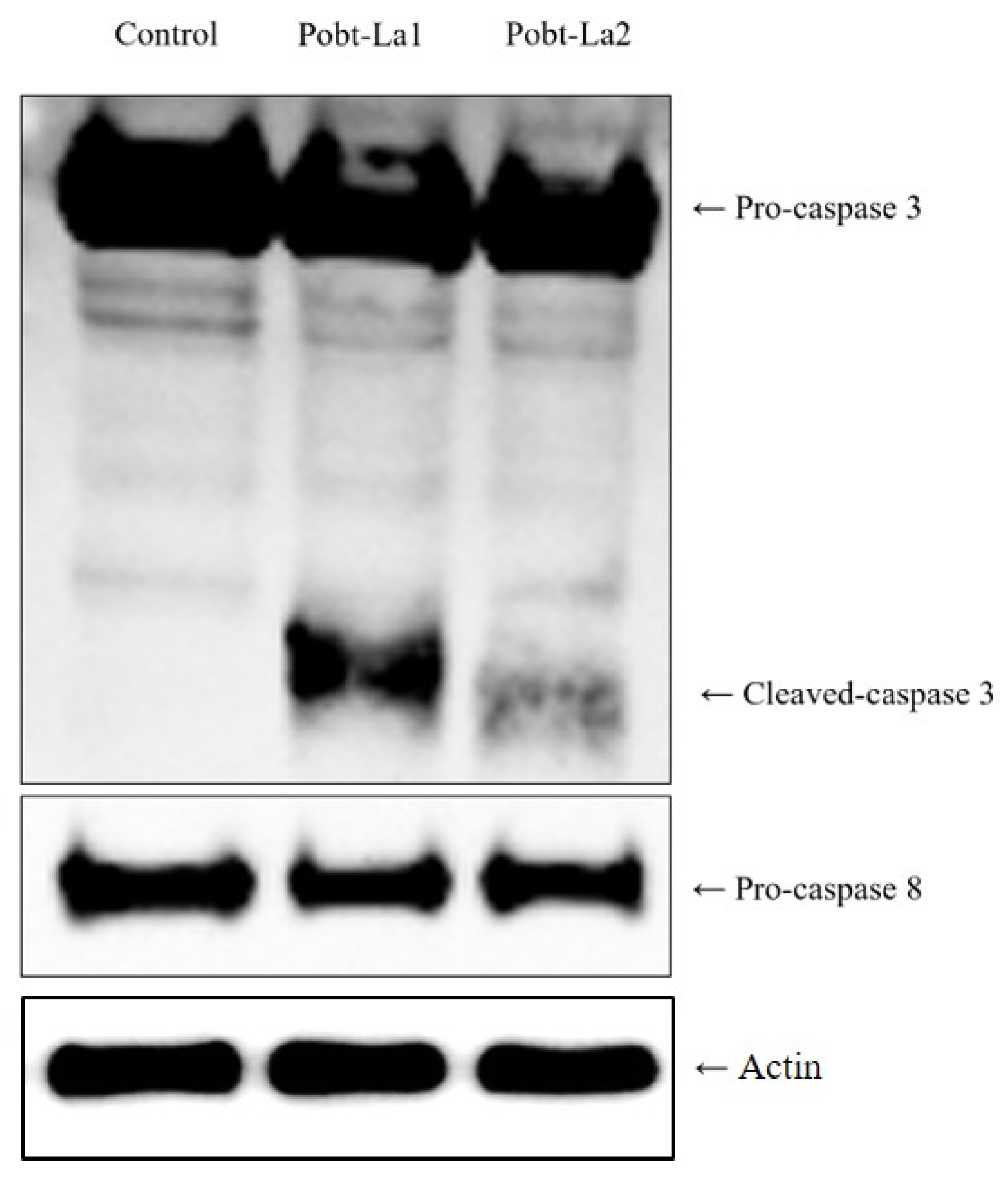 Applsci 12 12519 g004 Applsci 12 12519 g004