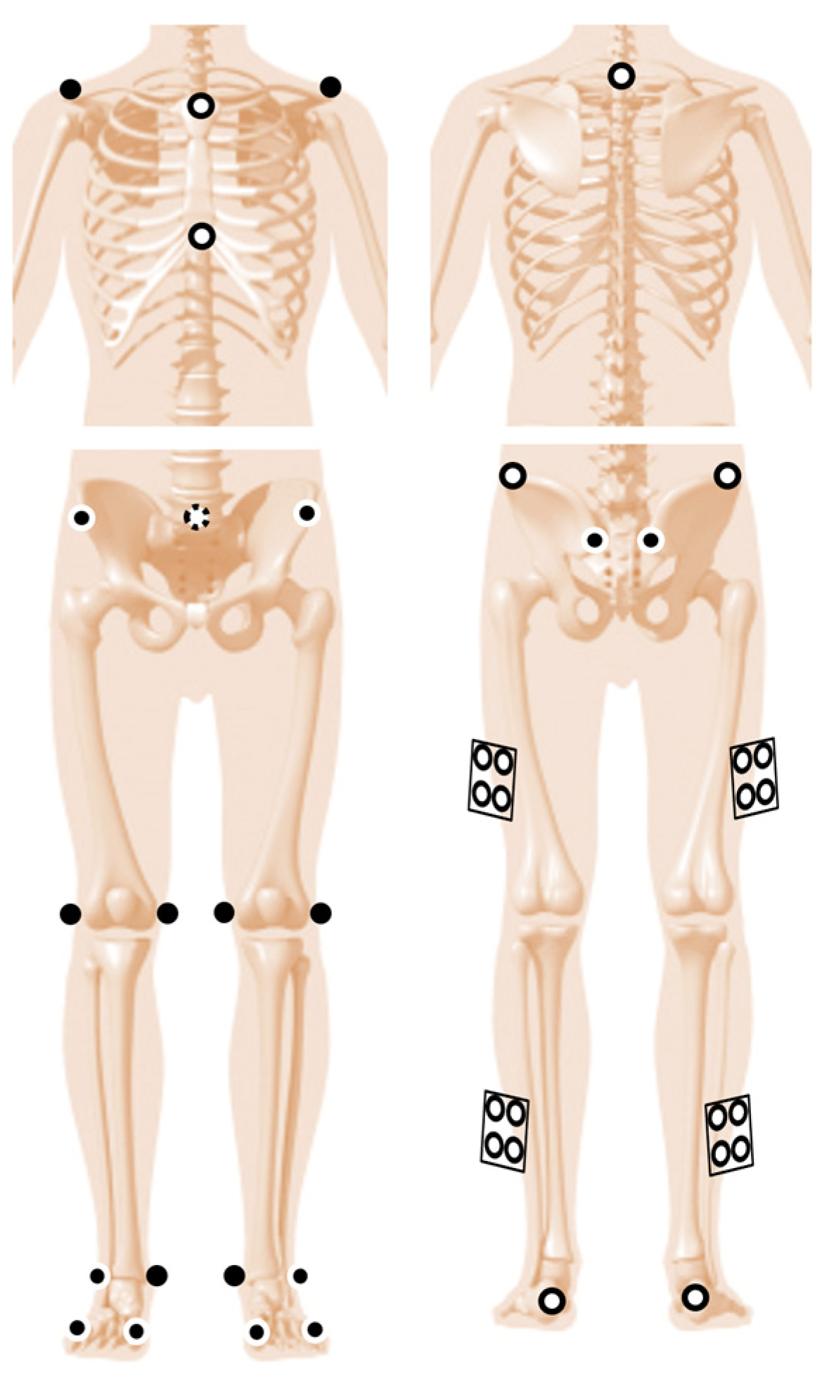 Applsci 12 12558 g001