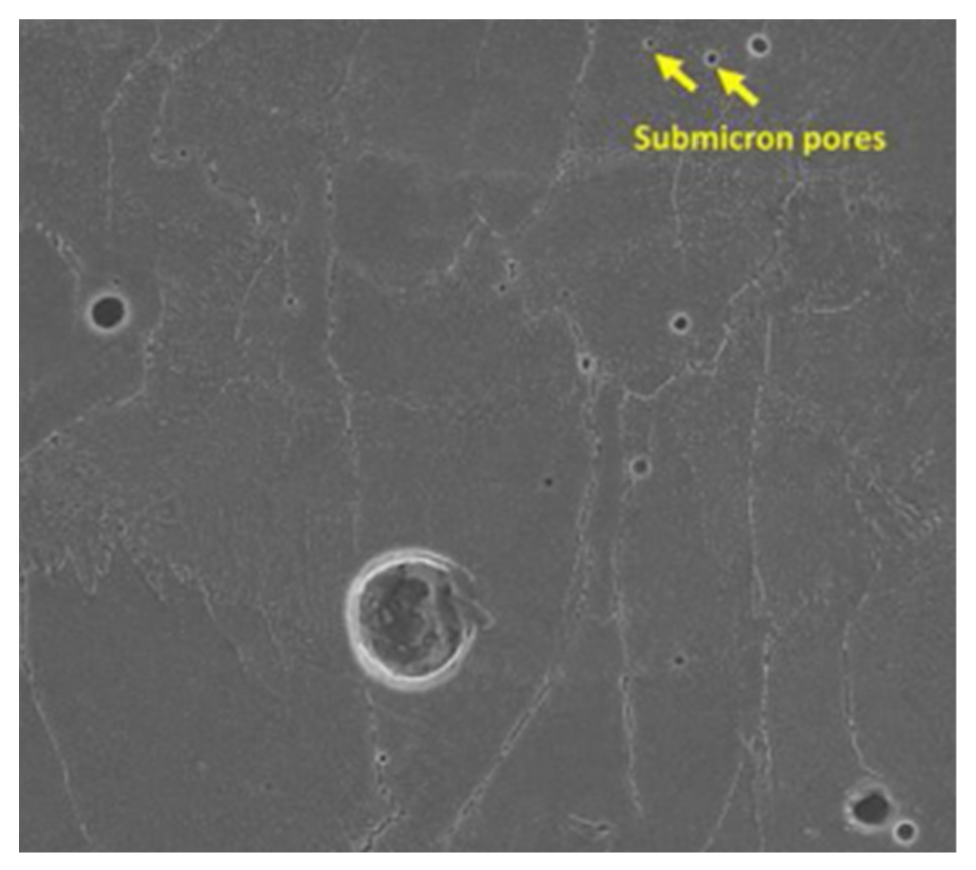 Applsci 12 12571 g006