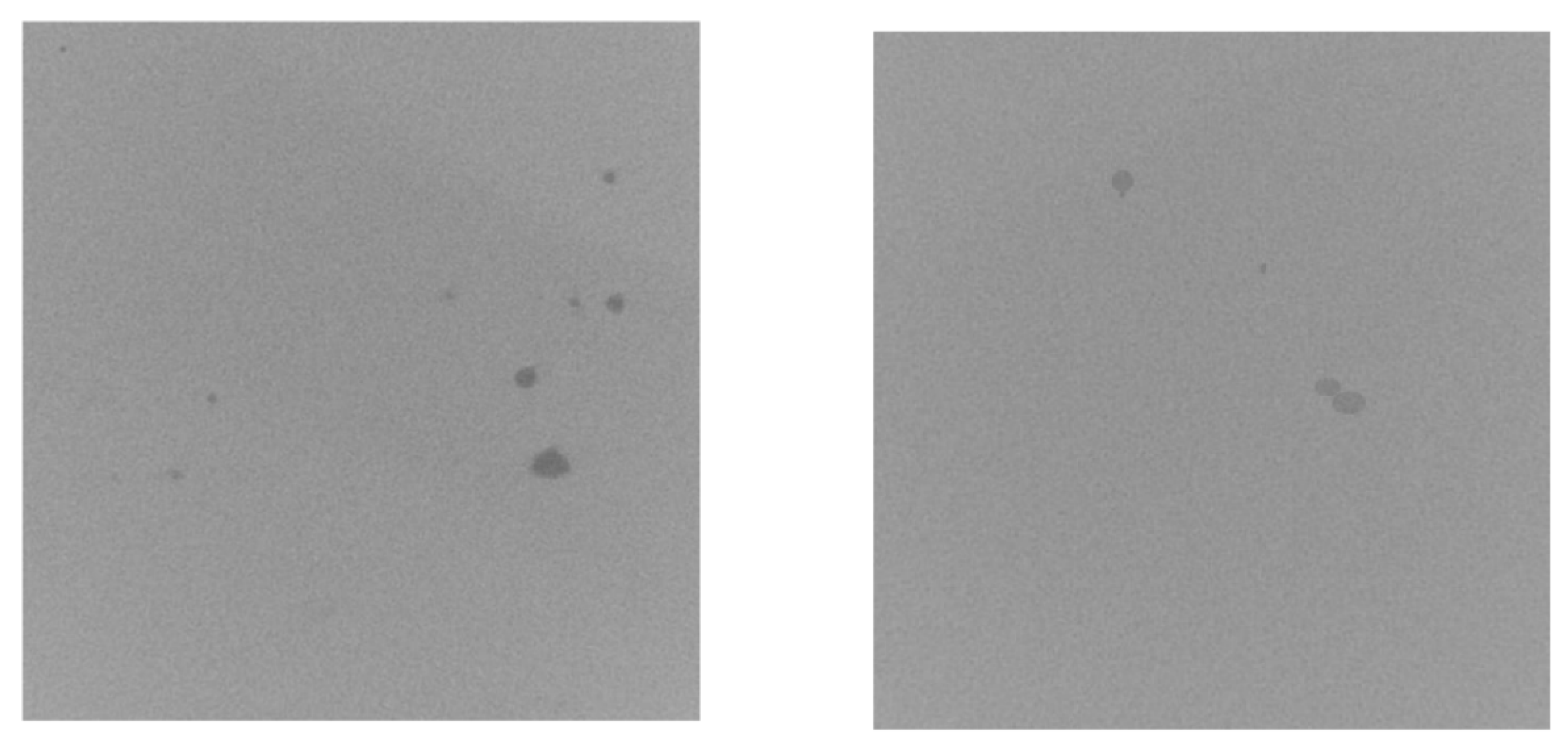 Applsci 12 12571 g020