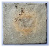 Applsci 12 12620 i003 Applsci 12 12620 i003