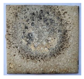 Applsci 12 12620 i006 Applsci 12 12620 i006