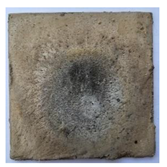 Applsci 12 12620 i015 Applsci 12 12620 i015