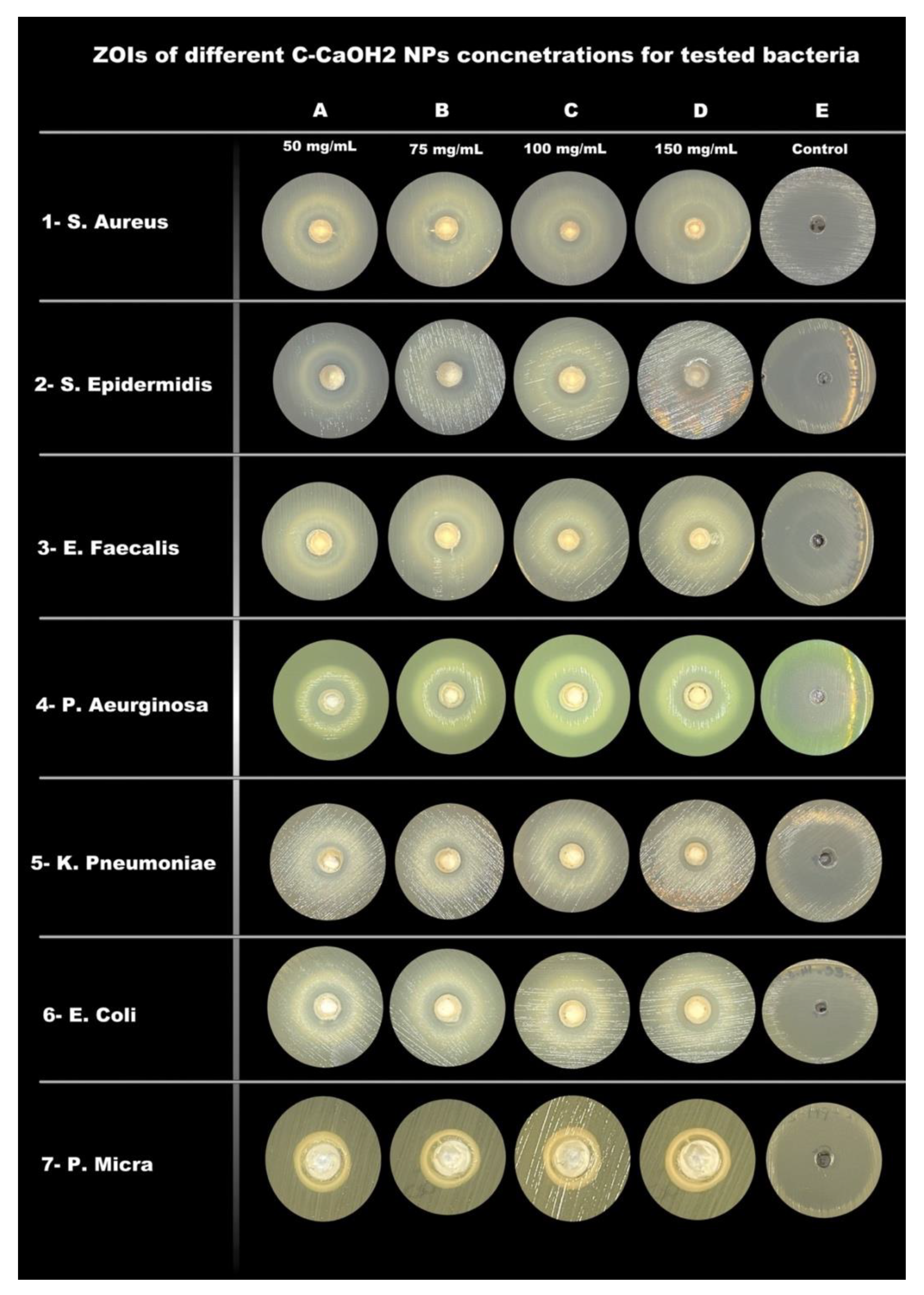 Applsci 12 12624 g001