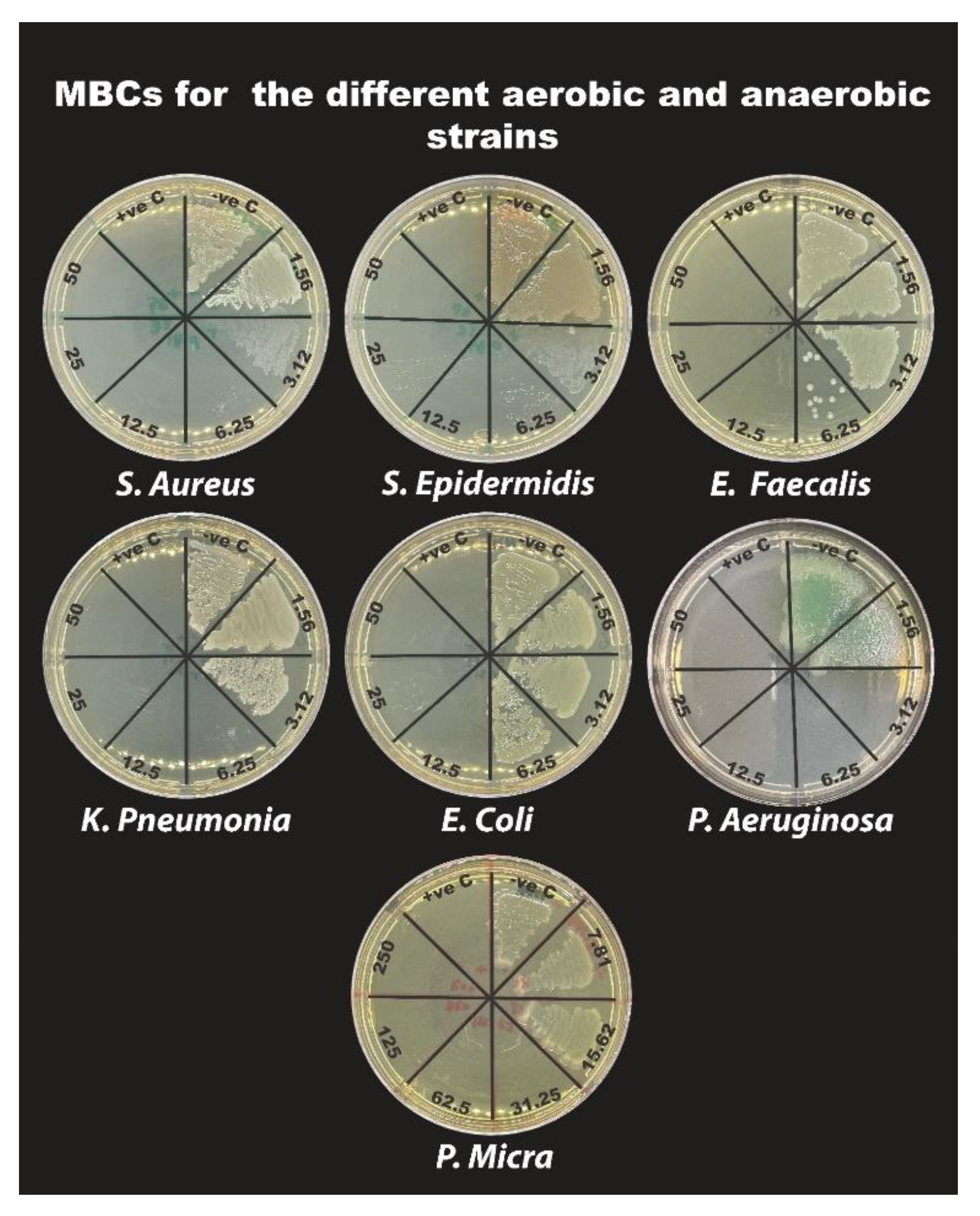 Applsci 12 12624 g004