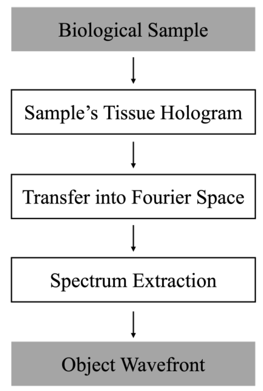 Applsci 12 12674 g003