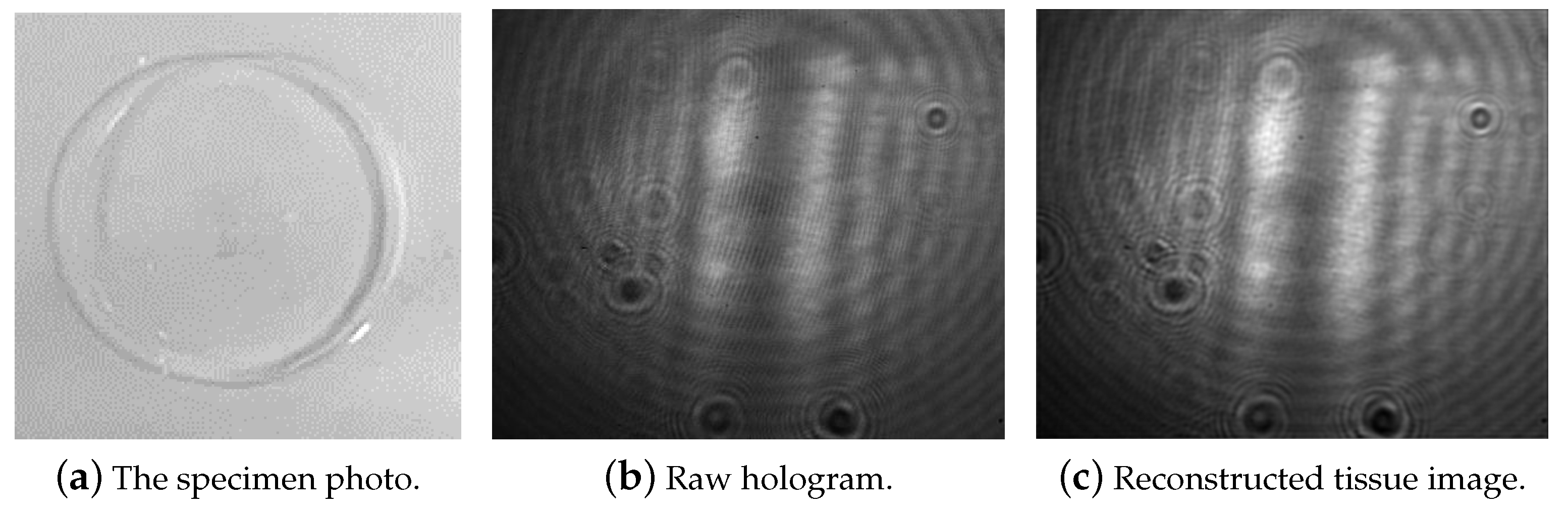 Applsci 12 12674 g004