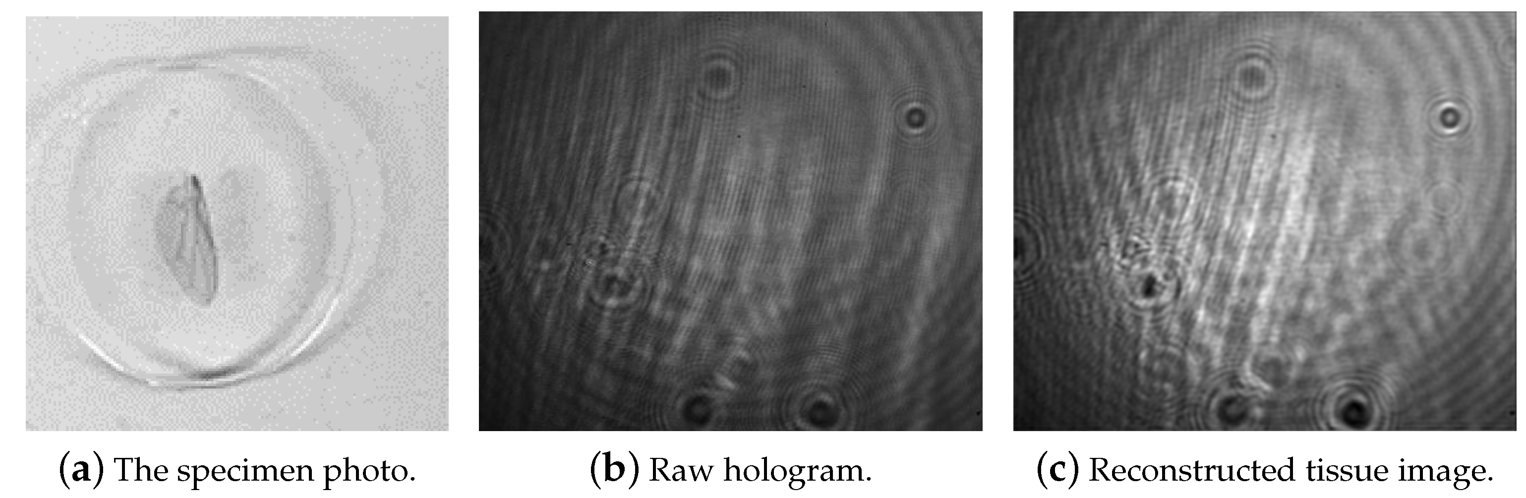 Applsci 12 12674 g006