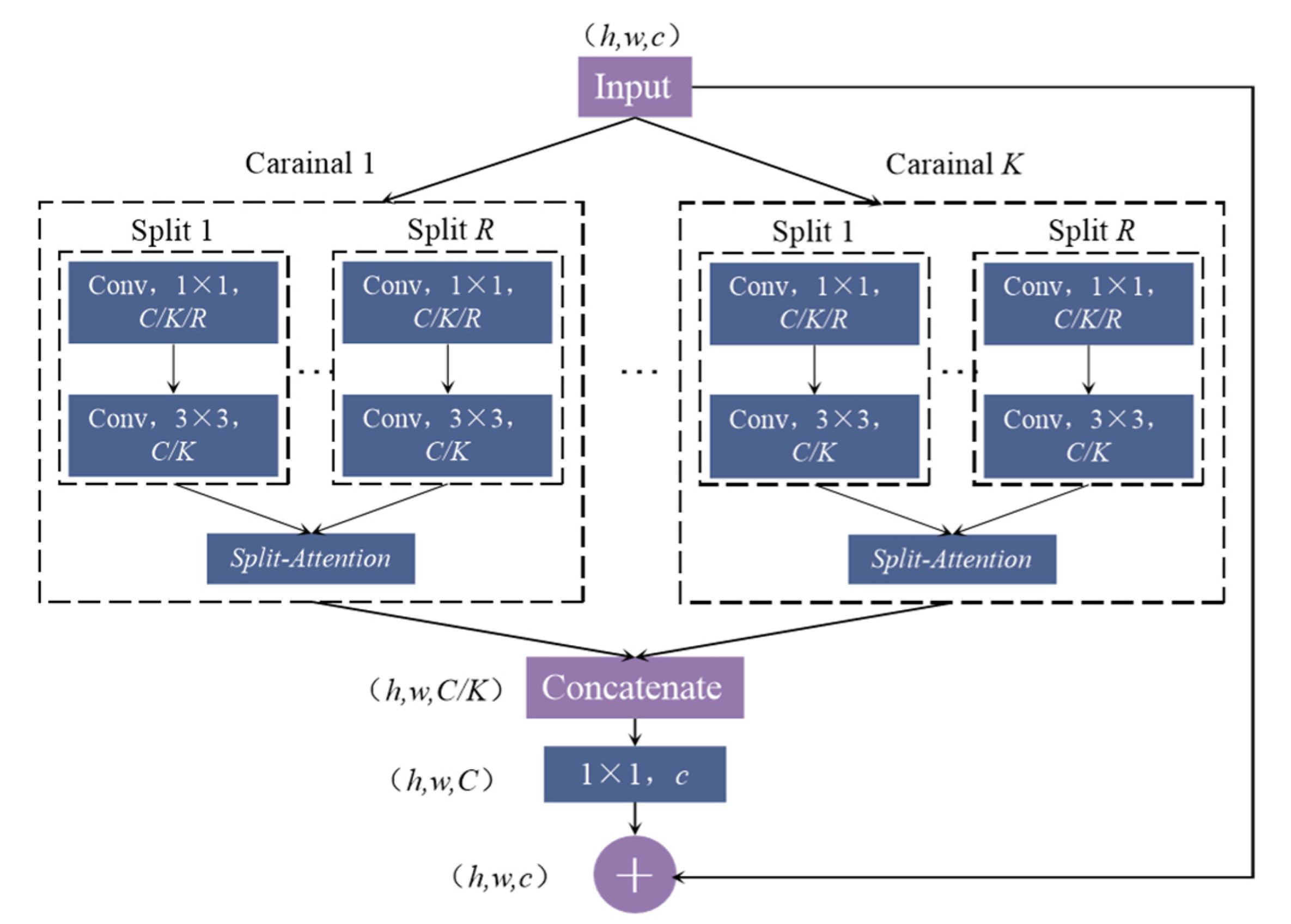 Applsci 12 12762 g002 Applsci 12 12762 g002