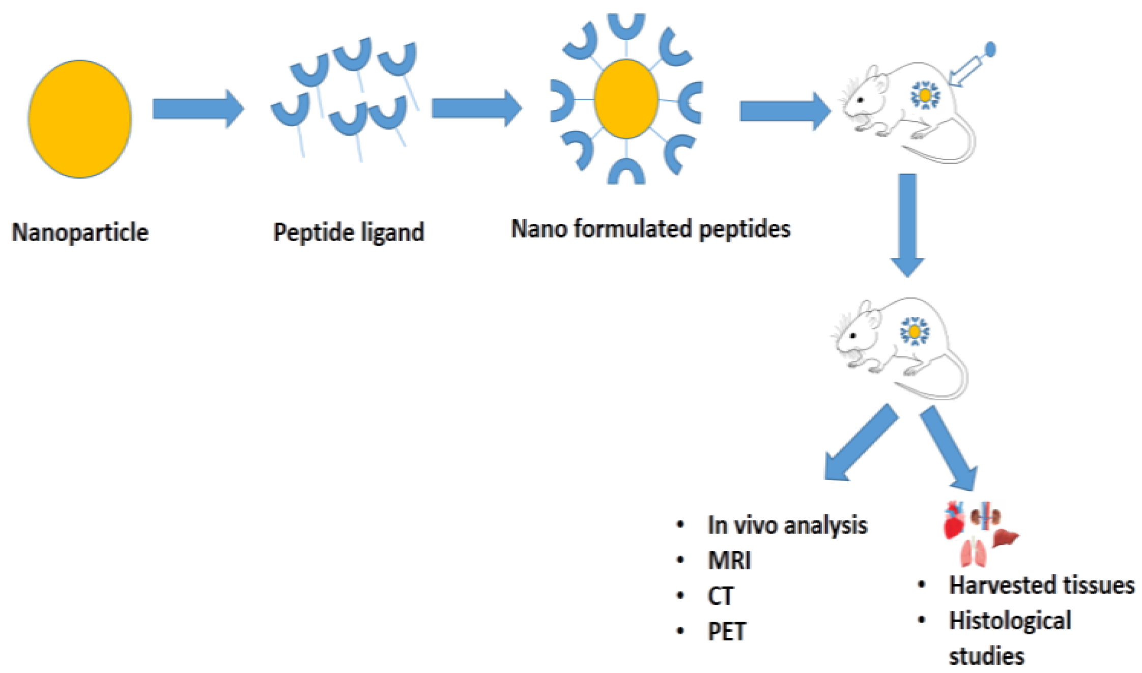 Applsci 12 12777 g002 Applsci 12 12777 g002