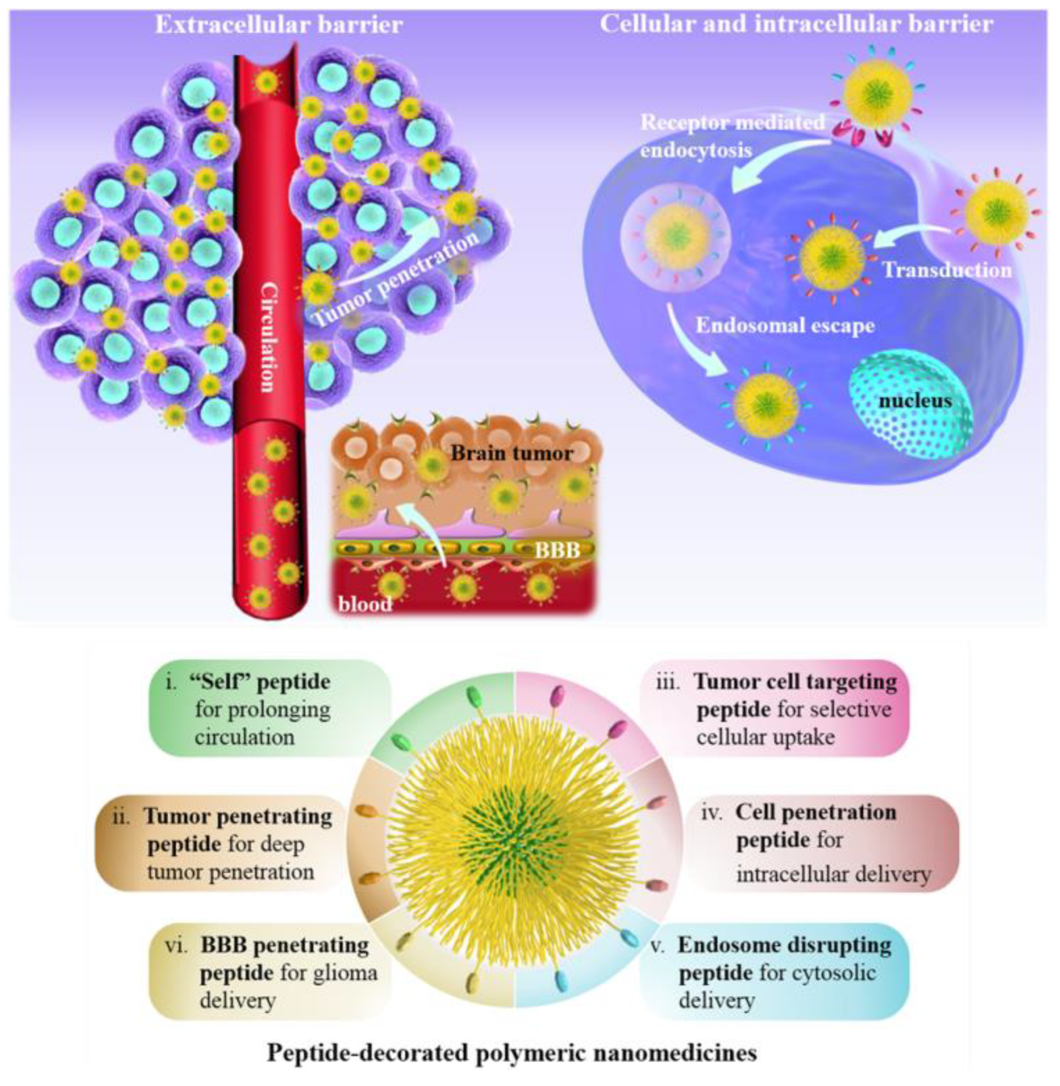 Applsci 12 12777 g003 Applsci 12 12777 g003