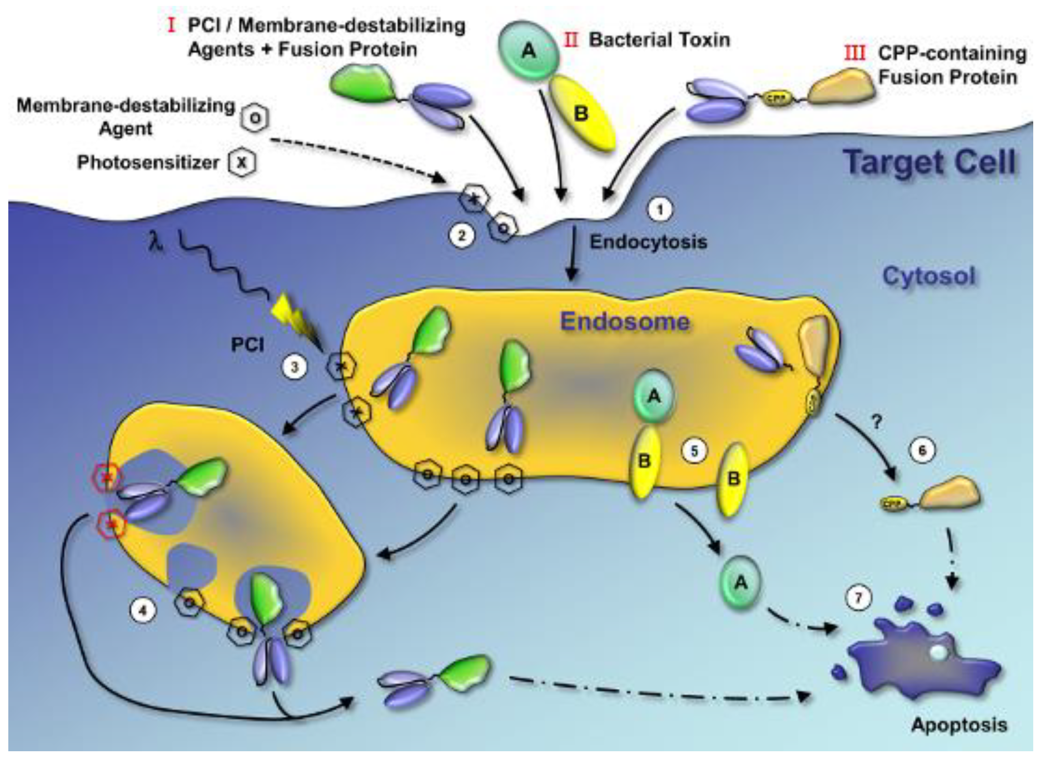 Applsci 12 12777 g004 Applsci 12 12777 g004