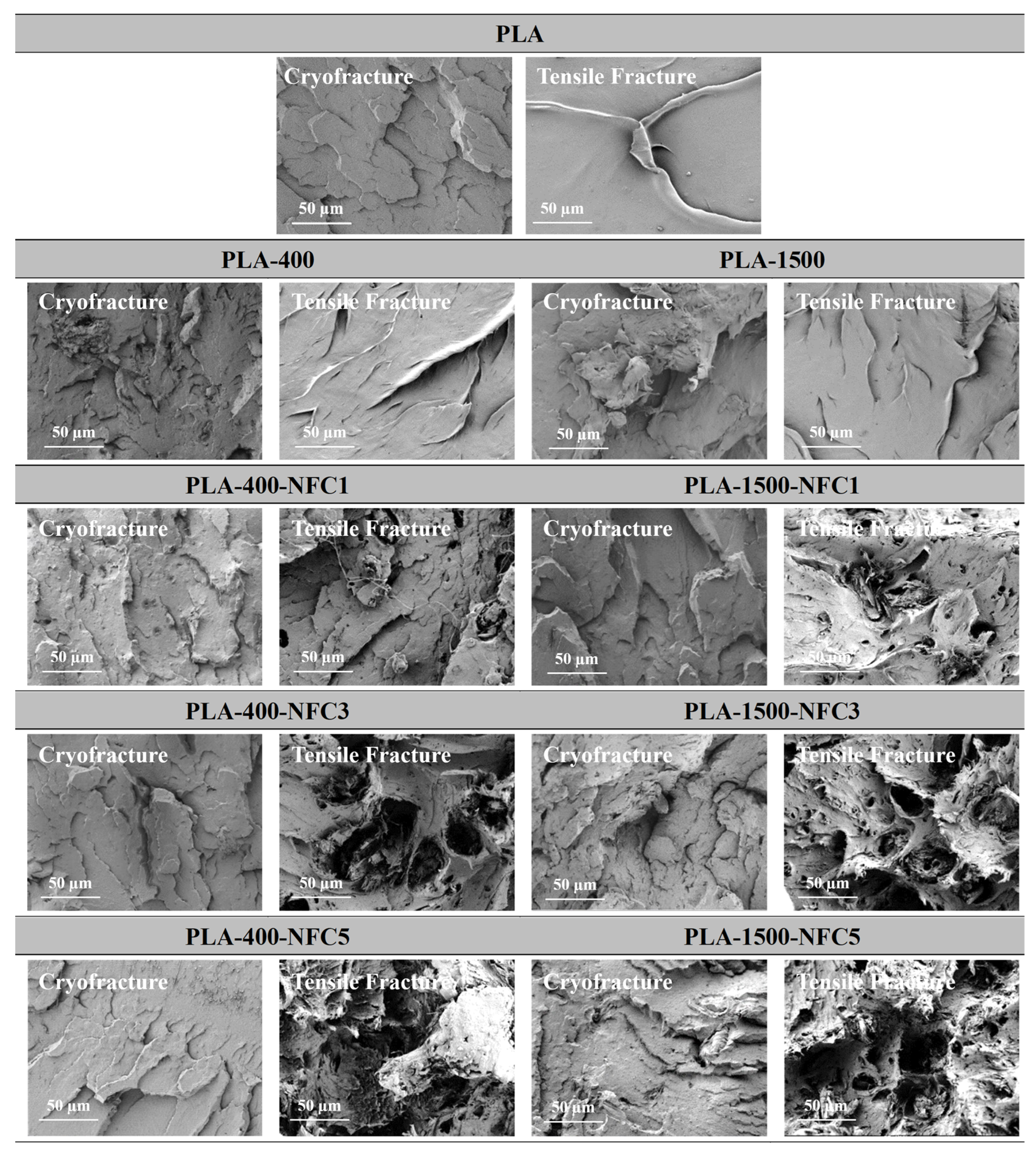 Applsci 12 12821 g007