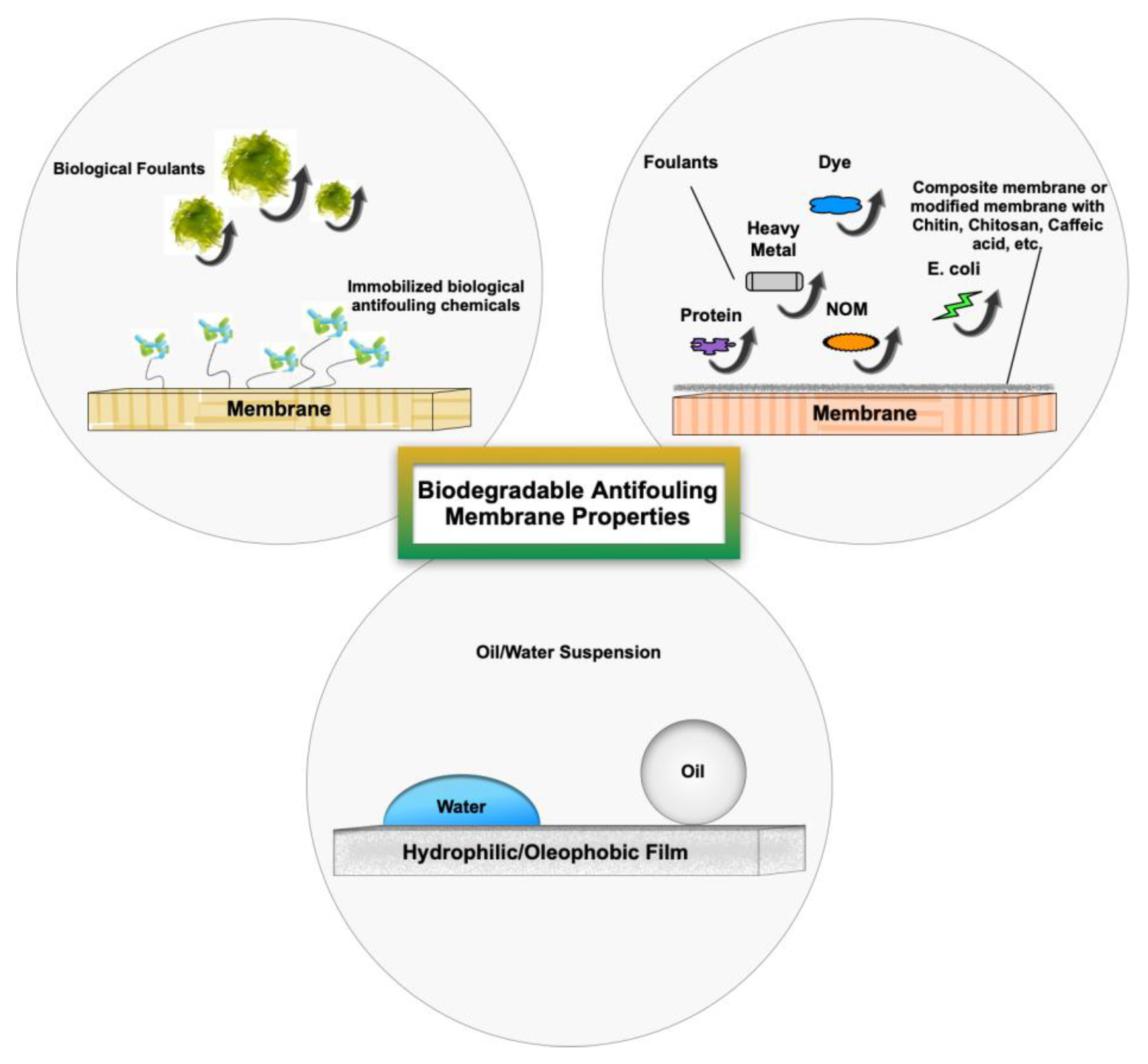 Applsci 12 12837 g010