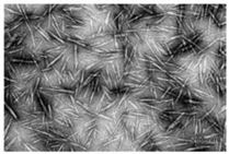 Applsci 12 12846 i001