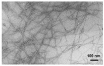 Applsci 12 12846 i002