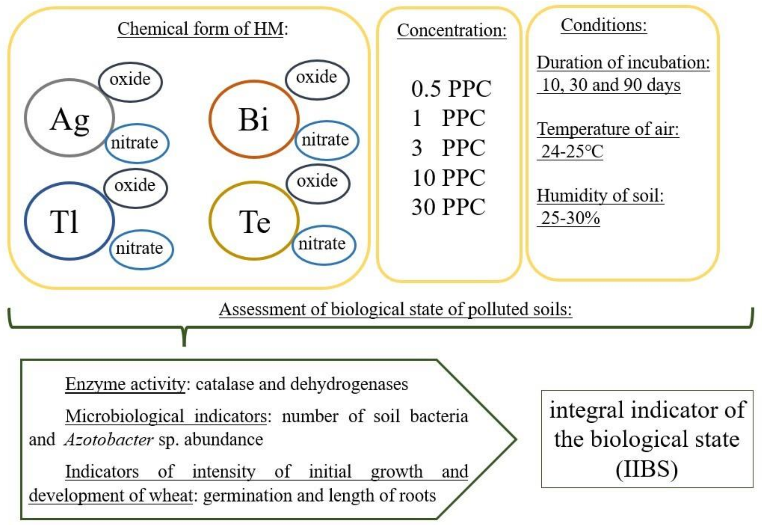 Applsci 12 12854 g001