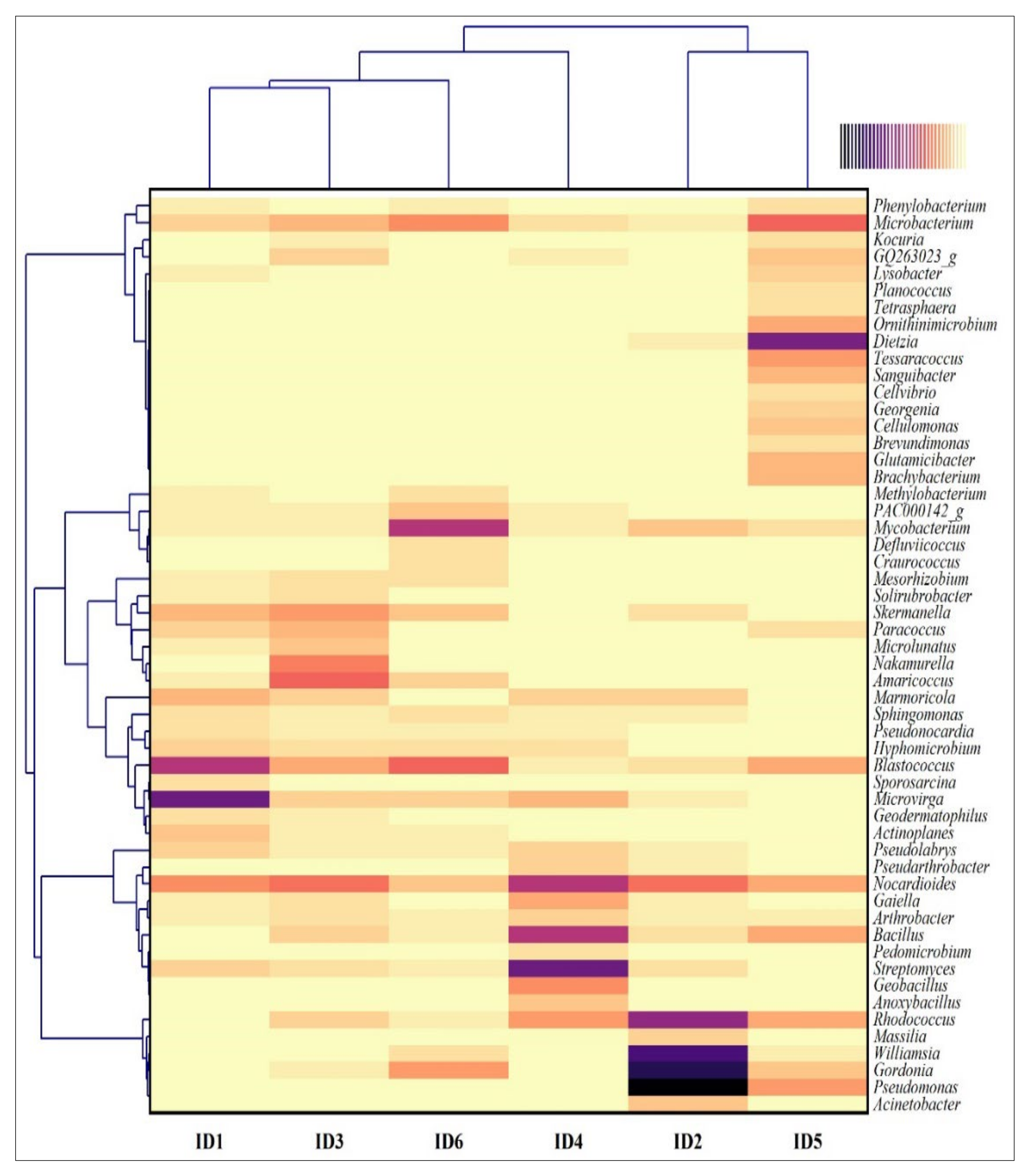 Applsci 12 12862 g002
