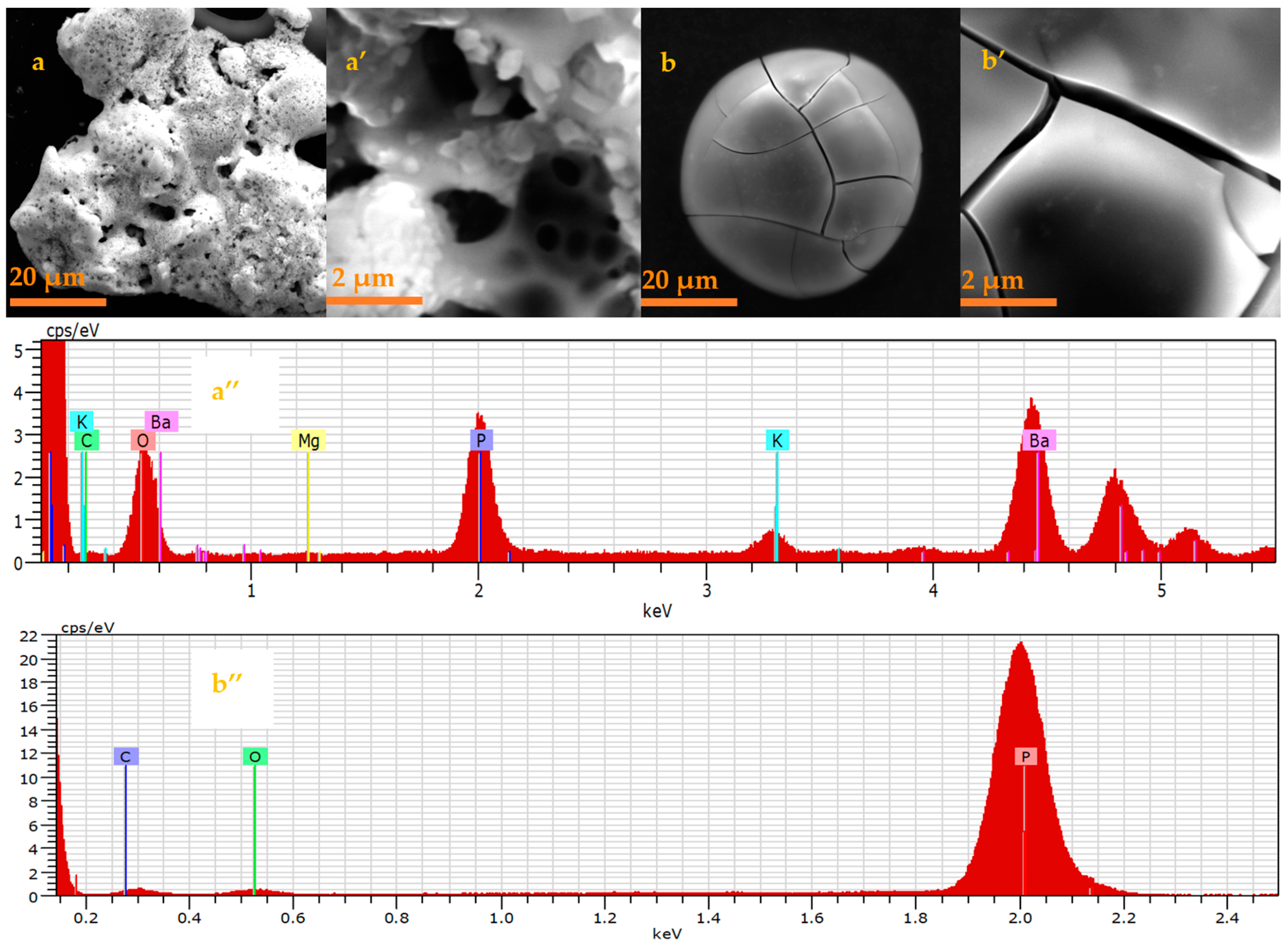 Applsci 12 12893 g004