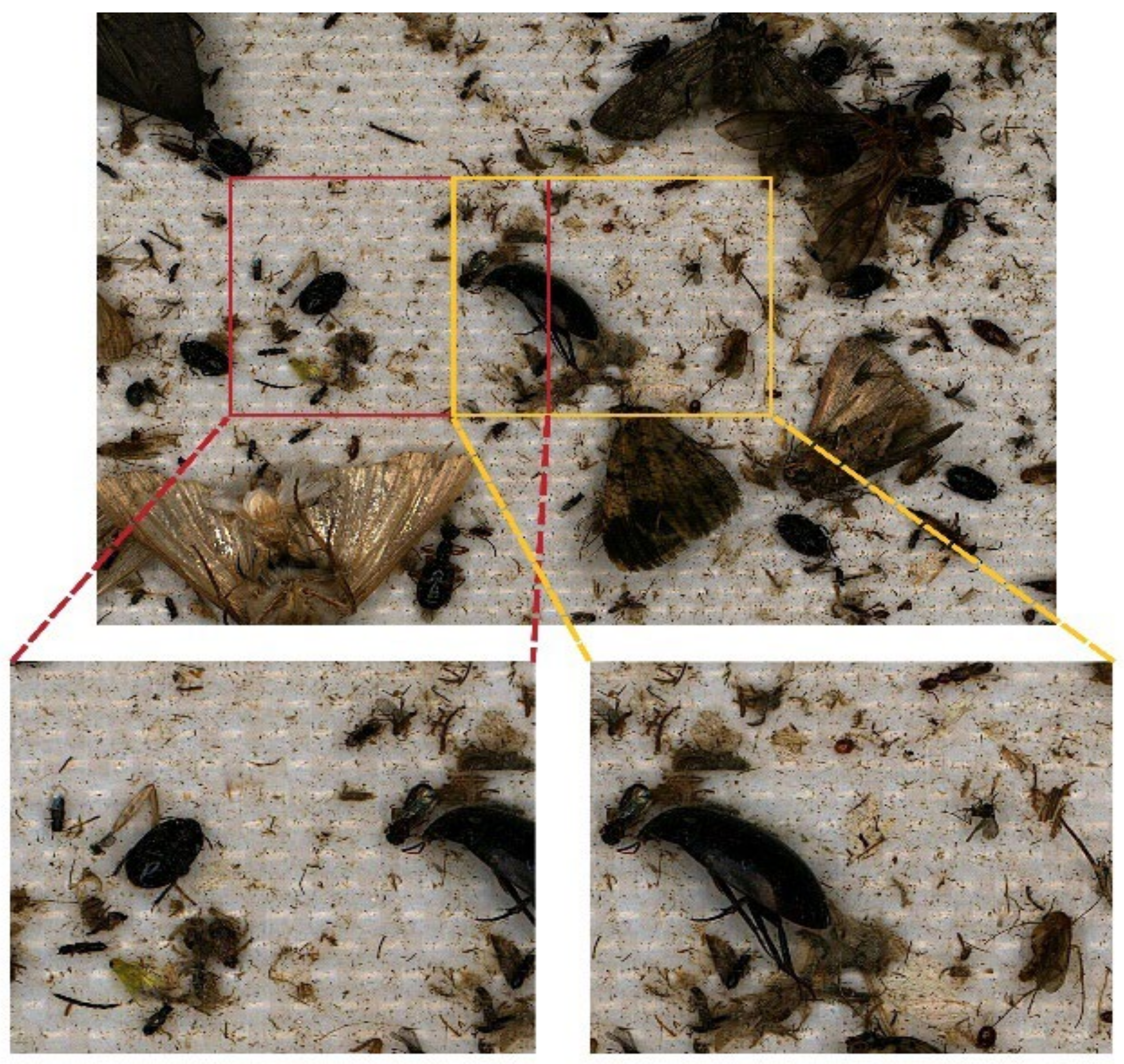 Applsci 12 12896 g004