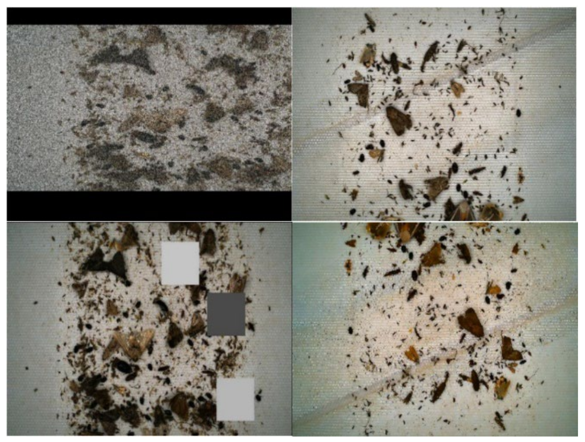 Applsci 12 12896 g005