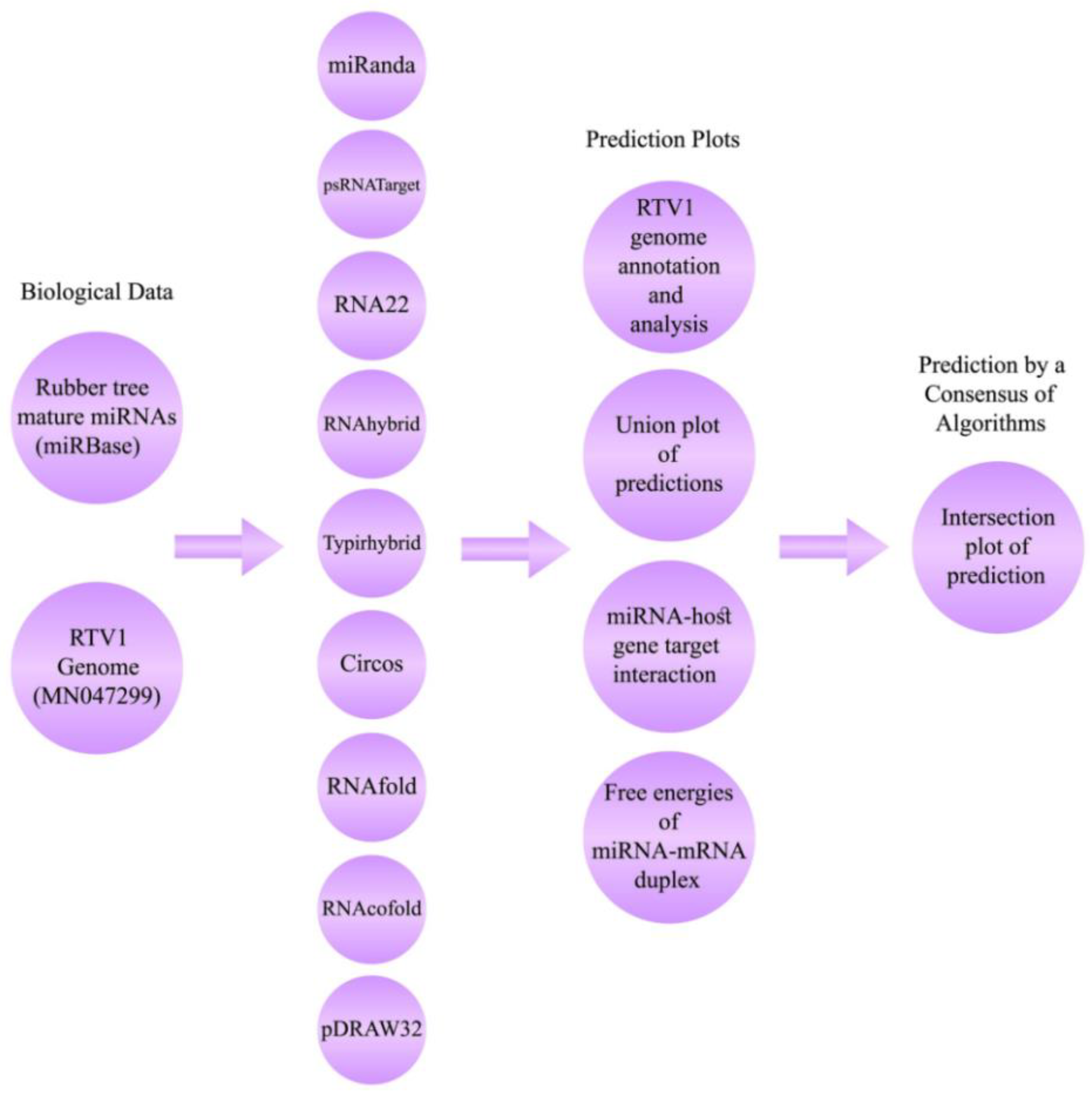 Applsci 12 12908 g001