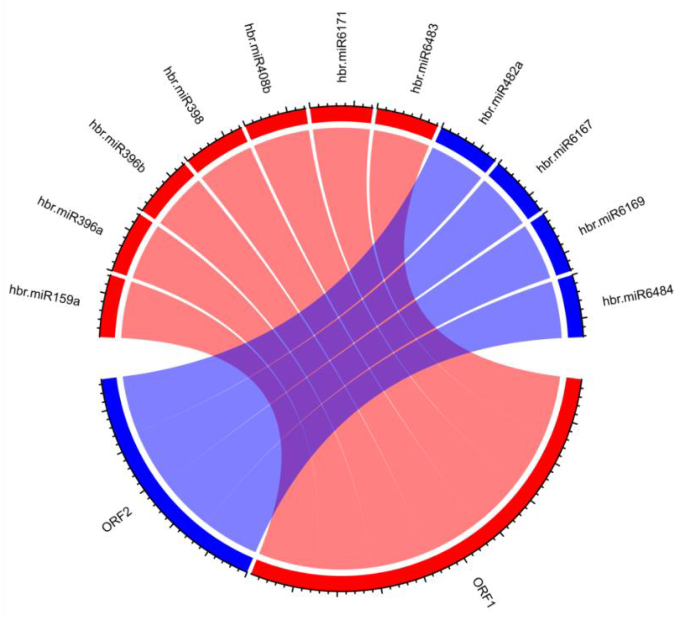 Applsci 12 12908 g005