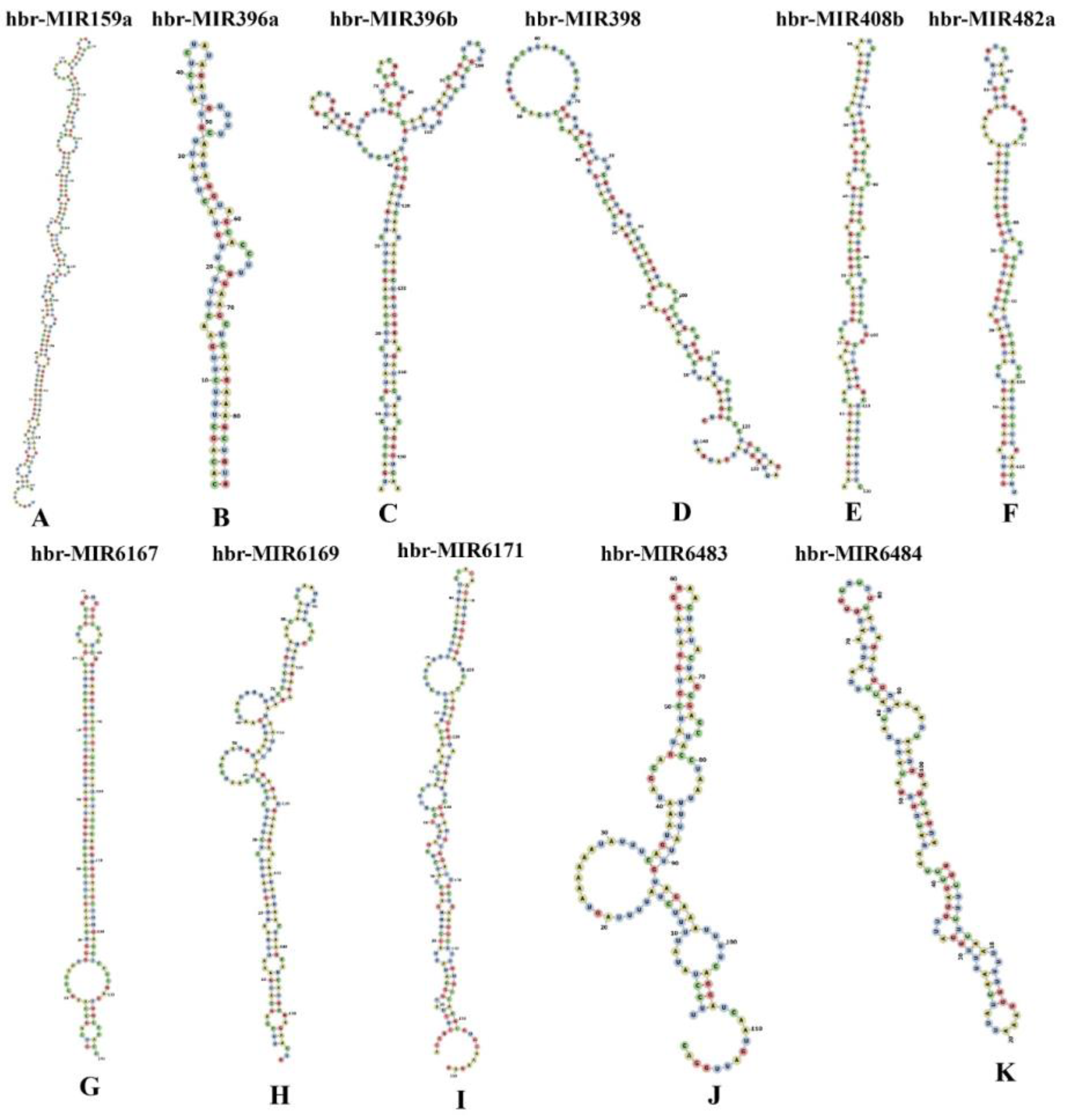 Applsci 12 12908 g007