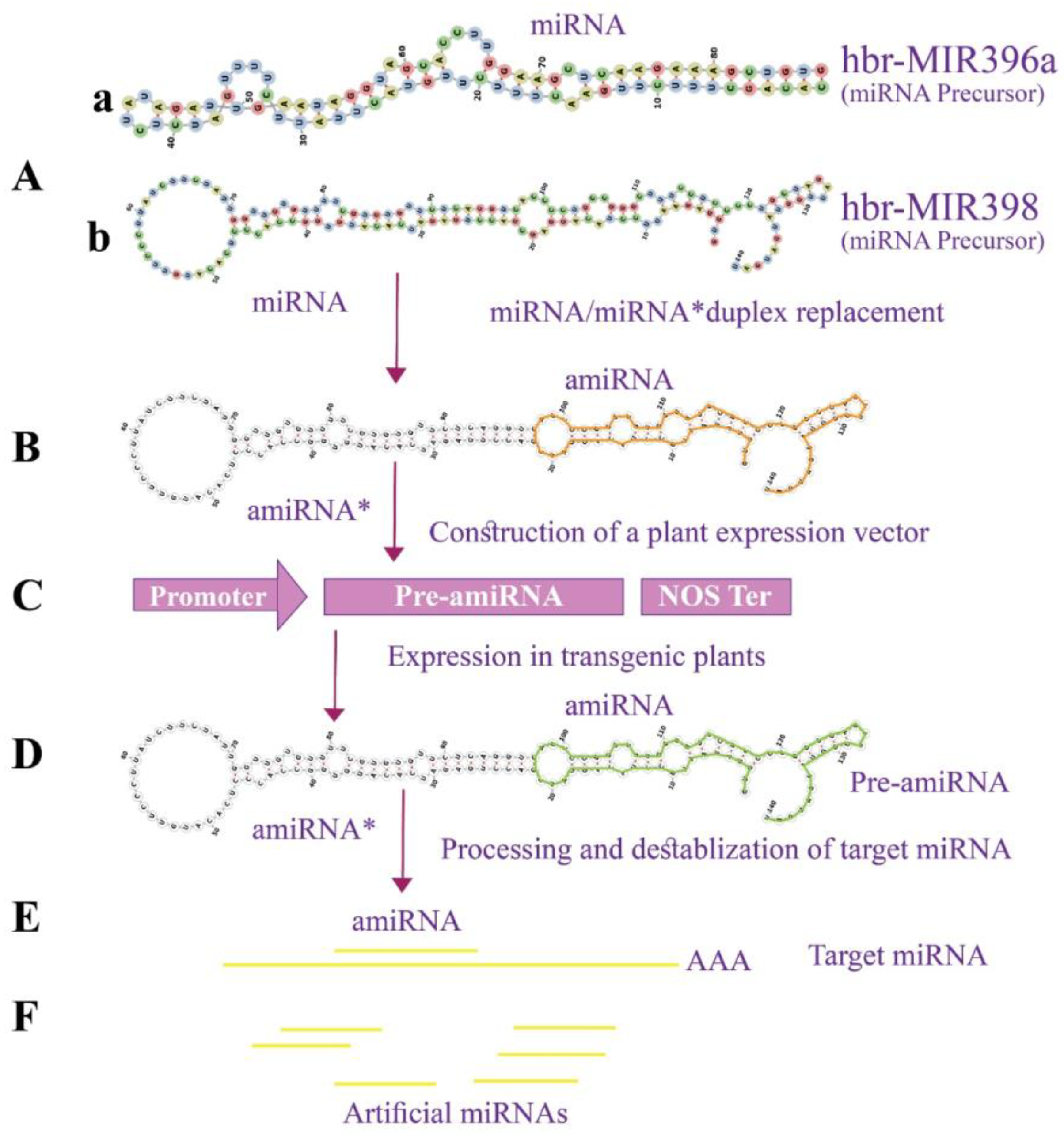 Applsci 12 12908 g008