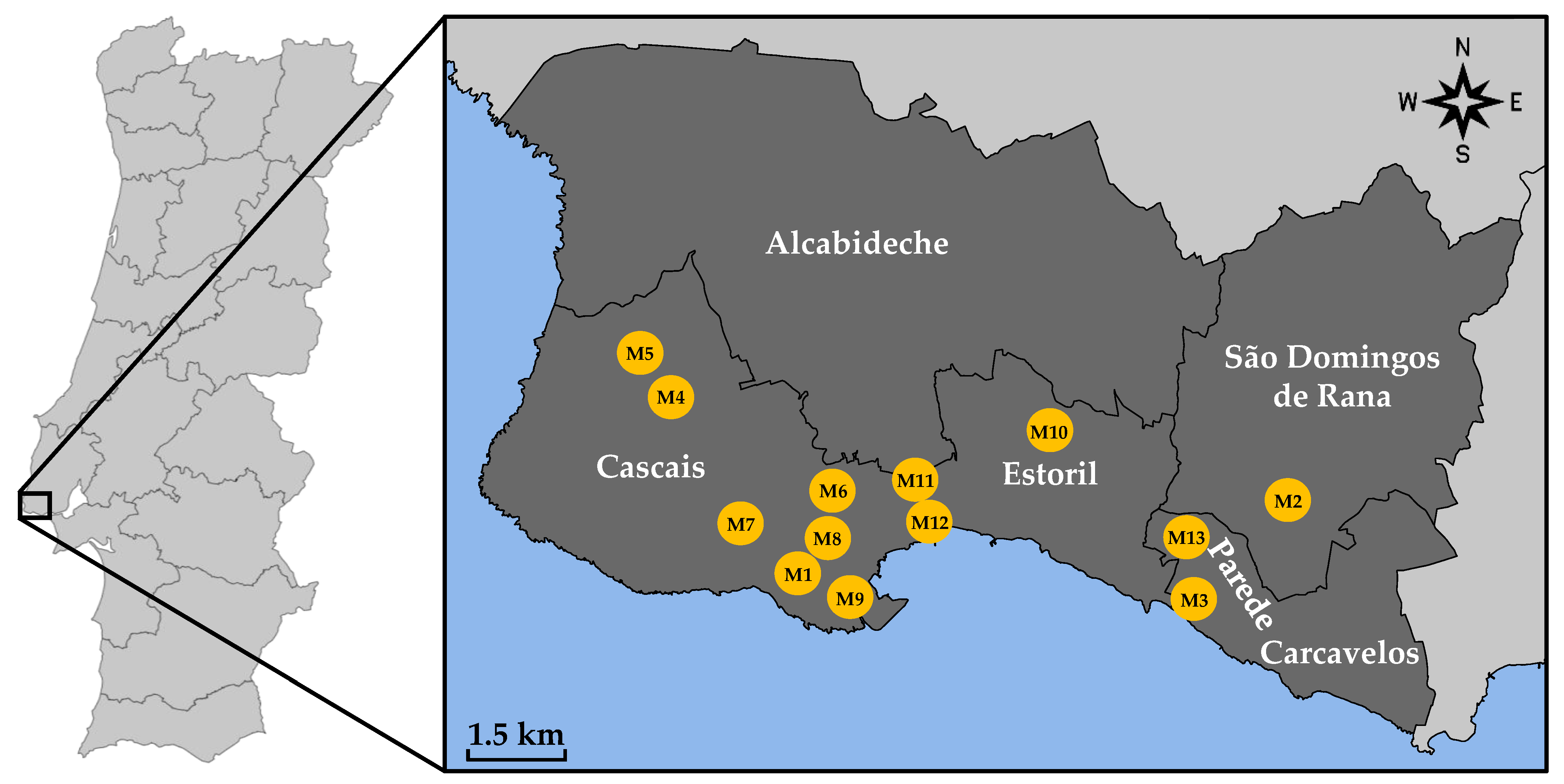 Applsci 12 12940 g001 Applsci 12 12940 g001