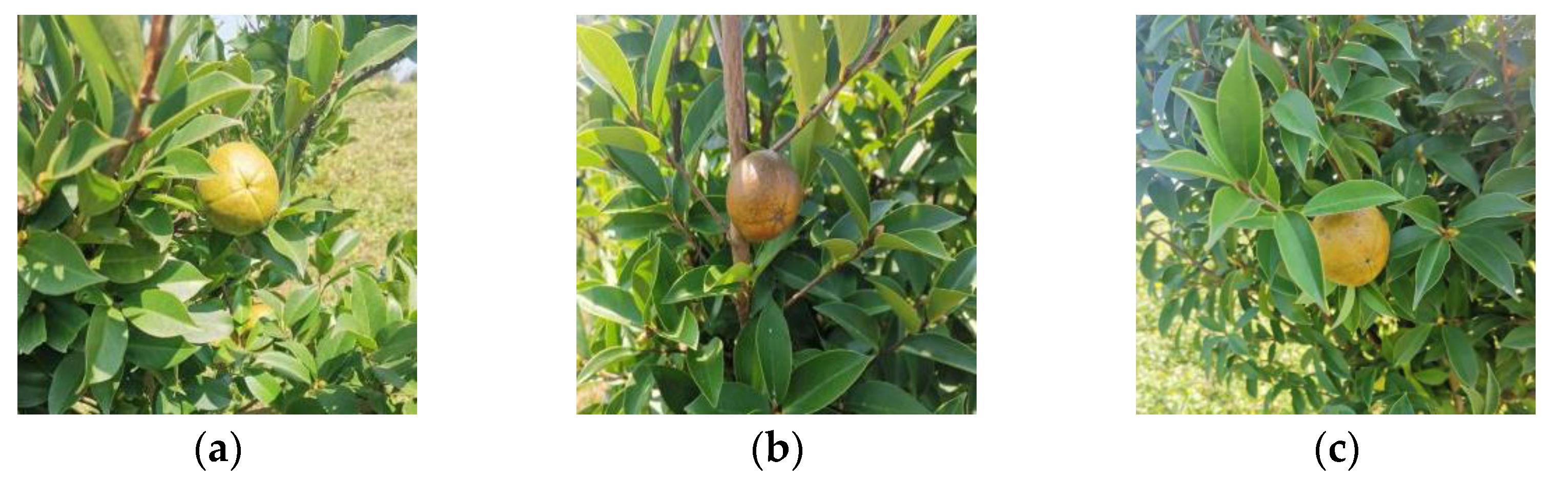 Applsci 12 12959 g002