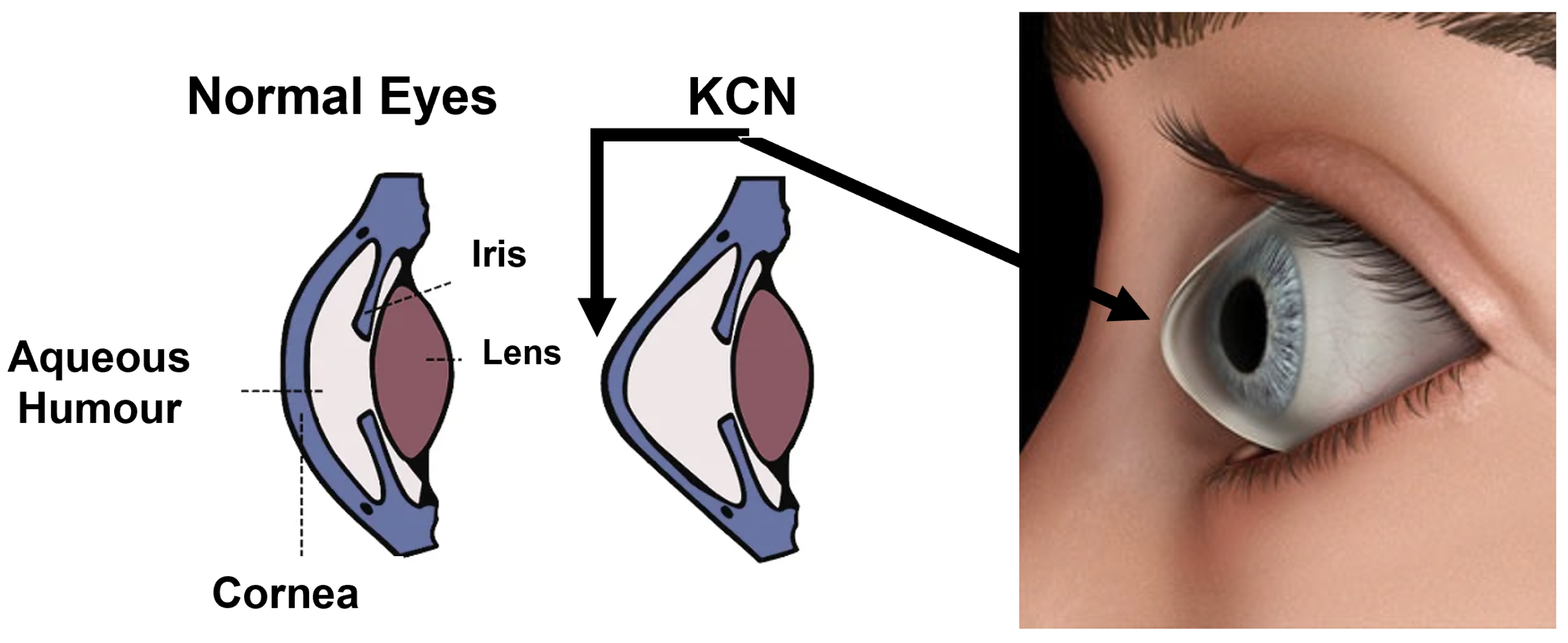 Applsci 12 12979 g001