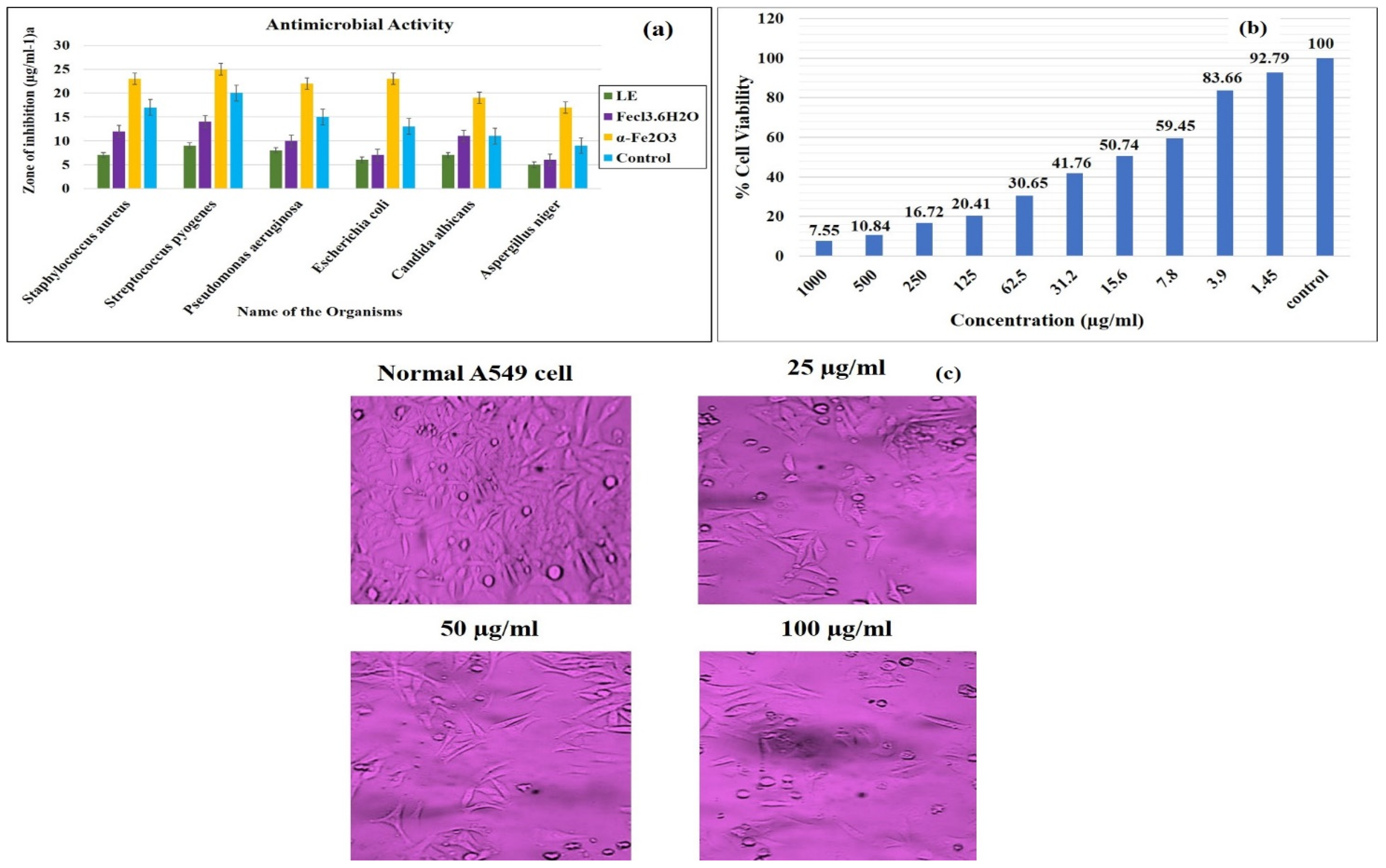 Applsci 12 12986 g002 Applsci 12 12986 g002
