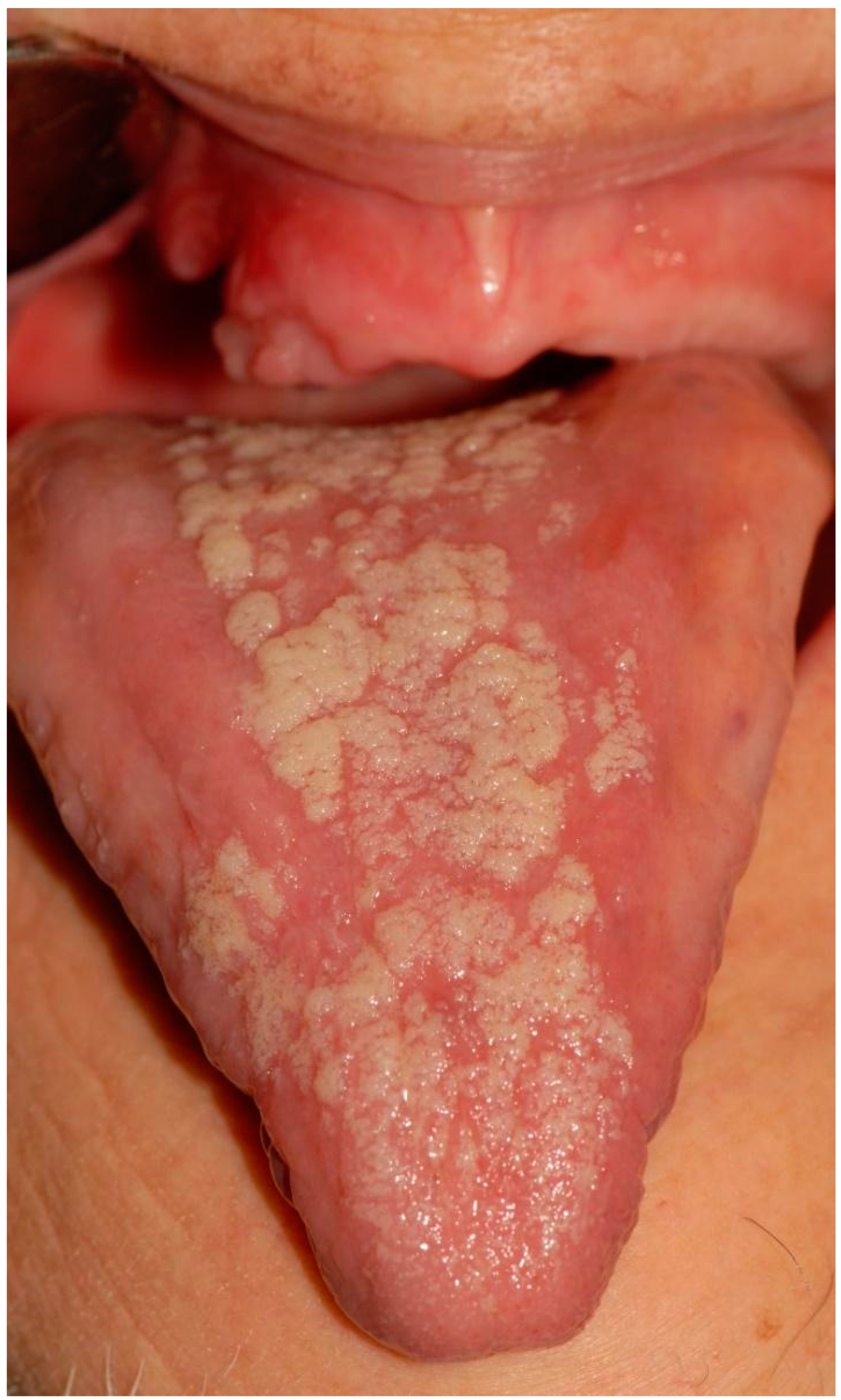 Applsci 12 12994 g001