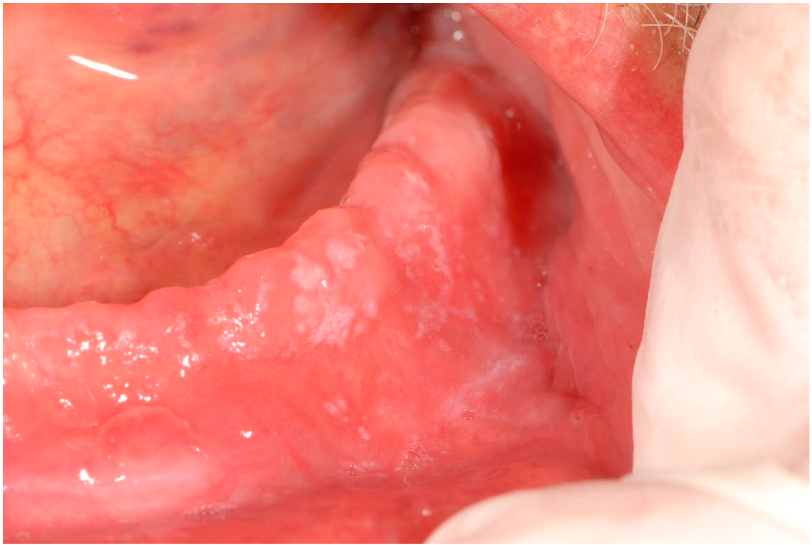 Applsci 12 12994 g002