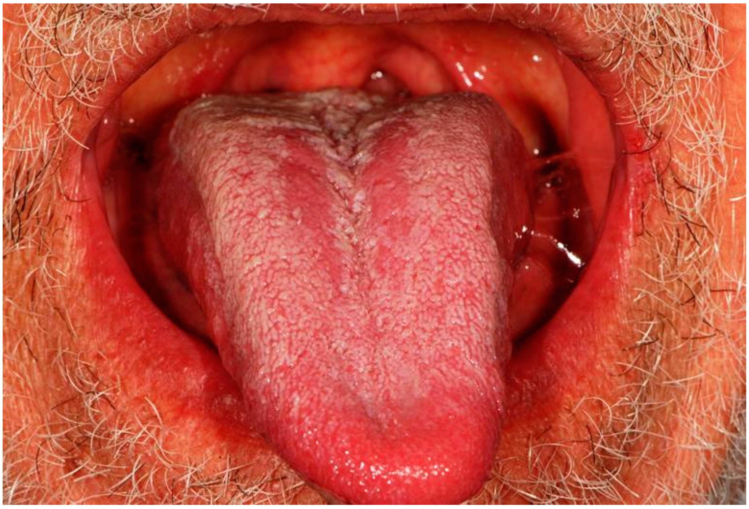 Applsci 12 12994 g003